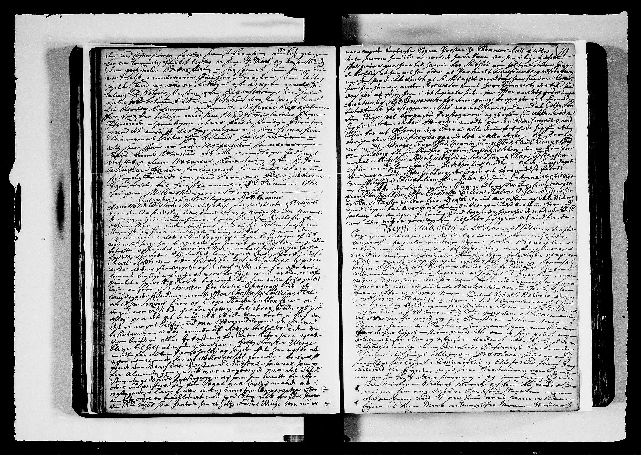 Hadeland, Land og Valdres sorenskriveri, SAH/TING-028/G/Gb/L0061: Tingbok, 1767-1768, s. 110b-111a