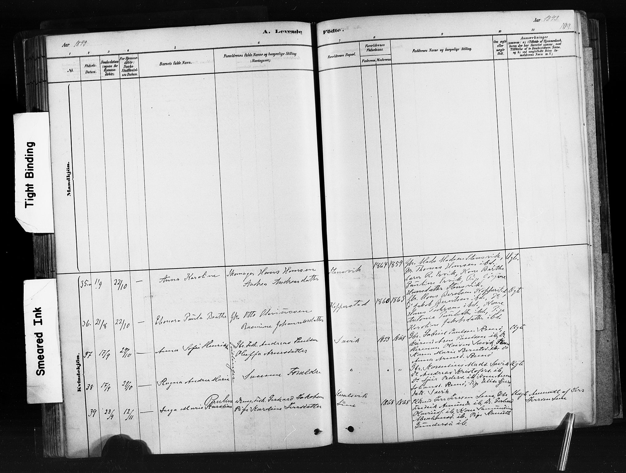 Ministerialprotokoller, klokkerbøker og fødselsregistre - Møre og Romsdal, AV/SAT-A-1454/507/L0073: Ministerialbok nr. 507A08, 1878-1904, s. 109