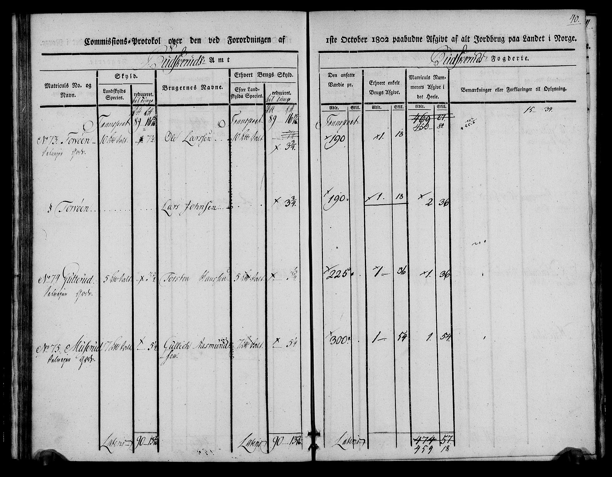 Rentekammeret inntil 1814, Realistisk ordnet avdeling, AV/RA-EA-4070/N/Ne/Nea/L0062: Buskerud fogderi. Kommisjonsprotokoll for Røyken prestegjeld, 1803, s. 40
