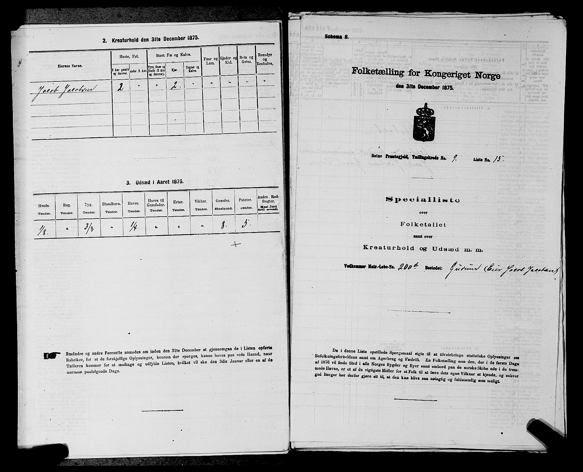 SAKO, Folketelling 1875 for 0715P Botne prestegjeld, 1875, s. 715