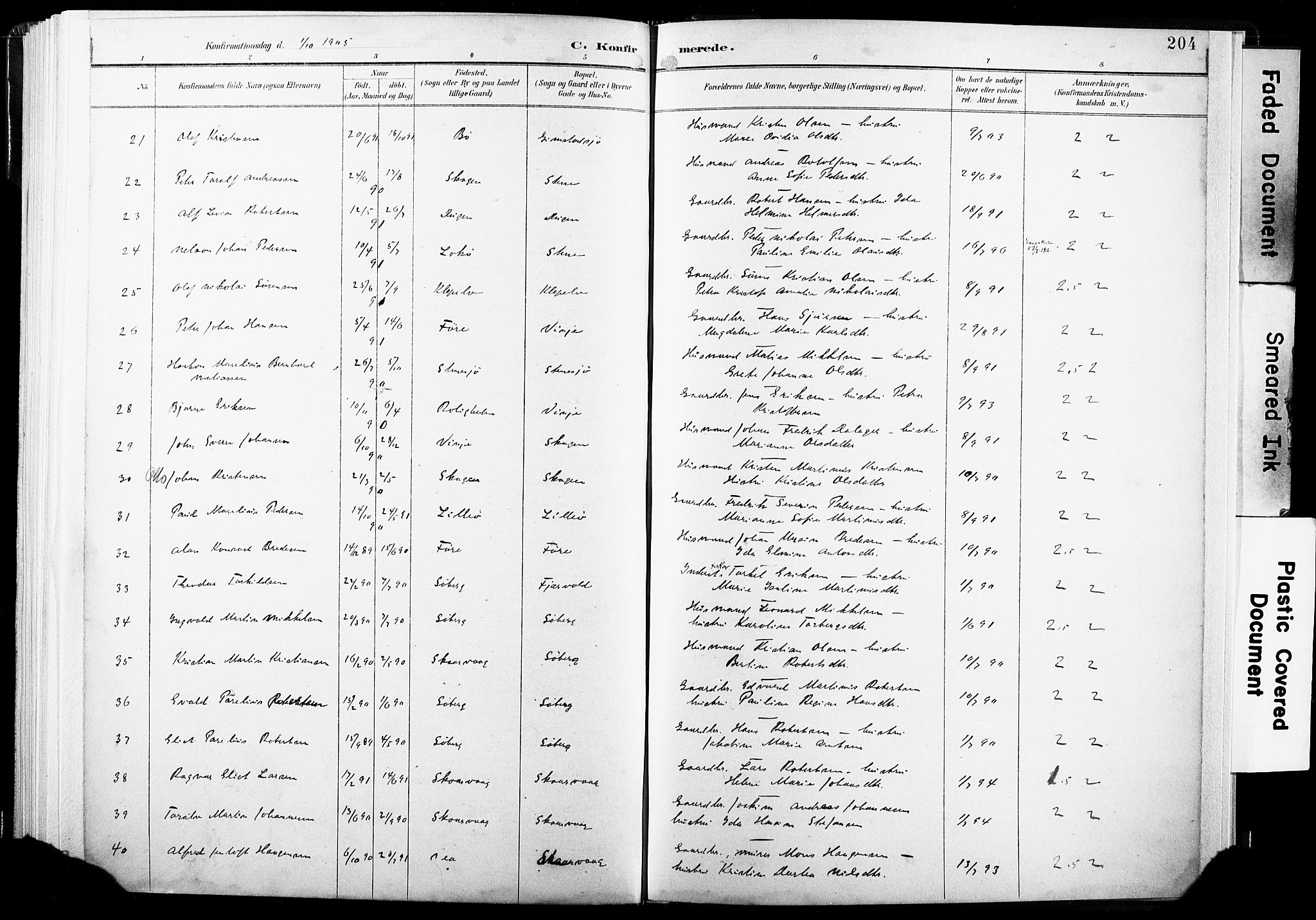 Ministerialprotokoller, klokkerbøker og fødselsregistre - Nordland, AV/SAT-A-1459/891/L1304: Ministerialbok nr. 891A09, 1895-1921, s. 204