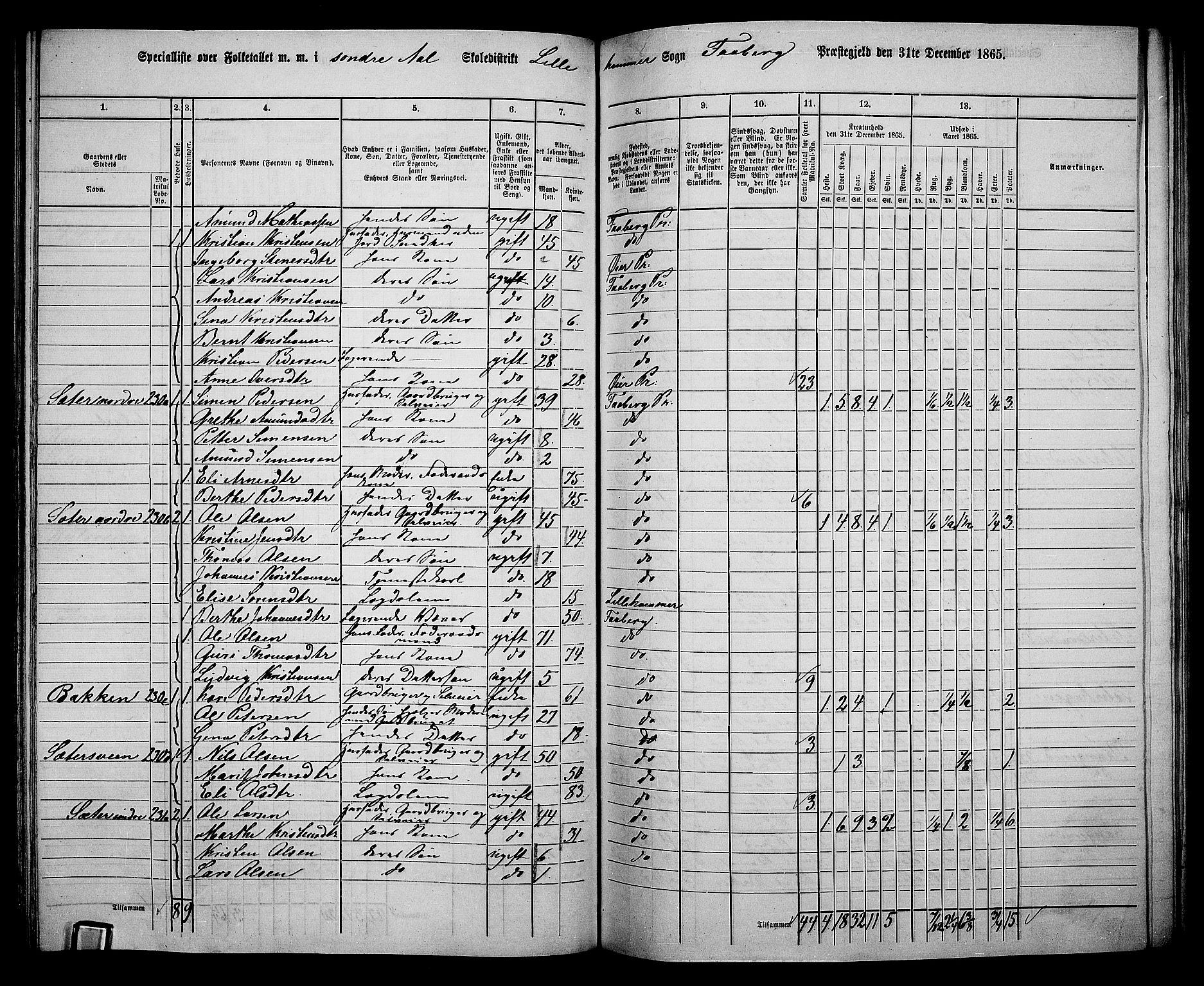 RA, Folketelling 1865 for 0524L Fåberg prestegjeld, Fåberg sokn og Lillehammer landsokn, 1865, s. 144