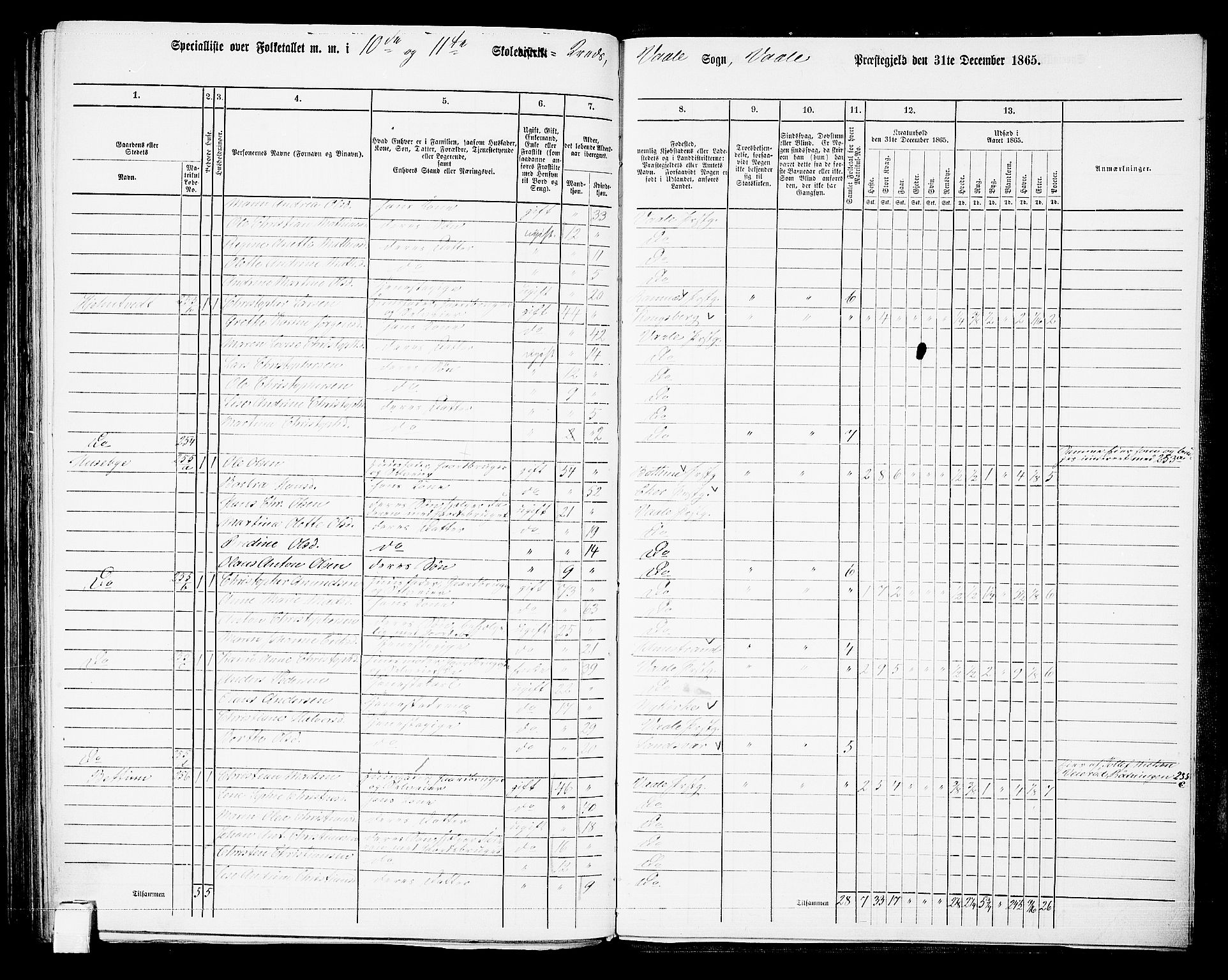 RA, Folketelling 1865 for 0716P Våle prestegjeld, 1865, s. 89