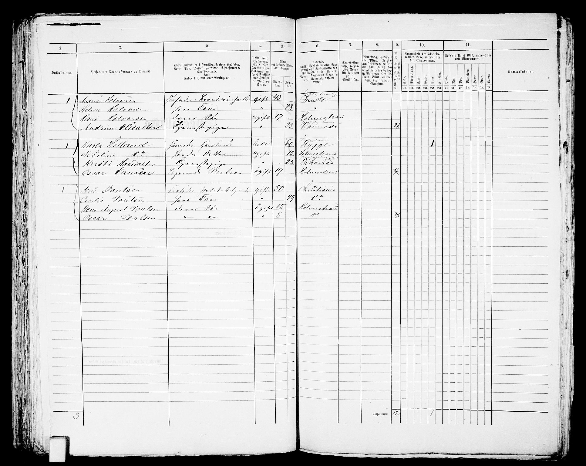 RA, Folketelling 1865 for 0702B Botne prestegjeld, Holmestrand kjøpstad, 1865, s. 242