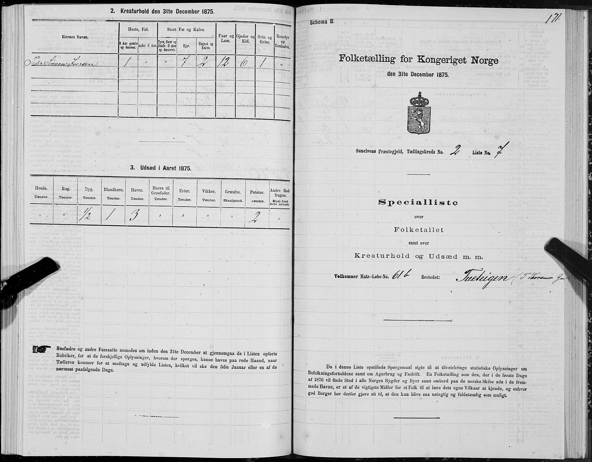 SAT, Folketelling 1875 for 1523P Sunnylven prestegjeld, 1875, s. 1171