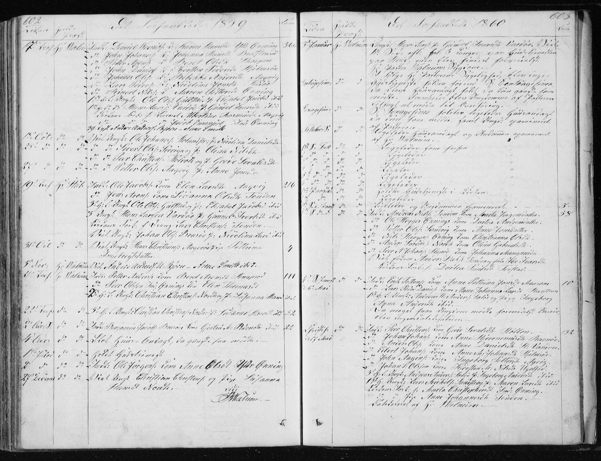 Ministerialprotokoller, klokkerbøker og fødselsregistre - Nordland, AV/SAT-A-1459/834/L0511: Klokkerbok nr. 834C02, 1848-1862, s. 602-603