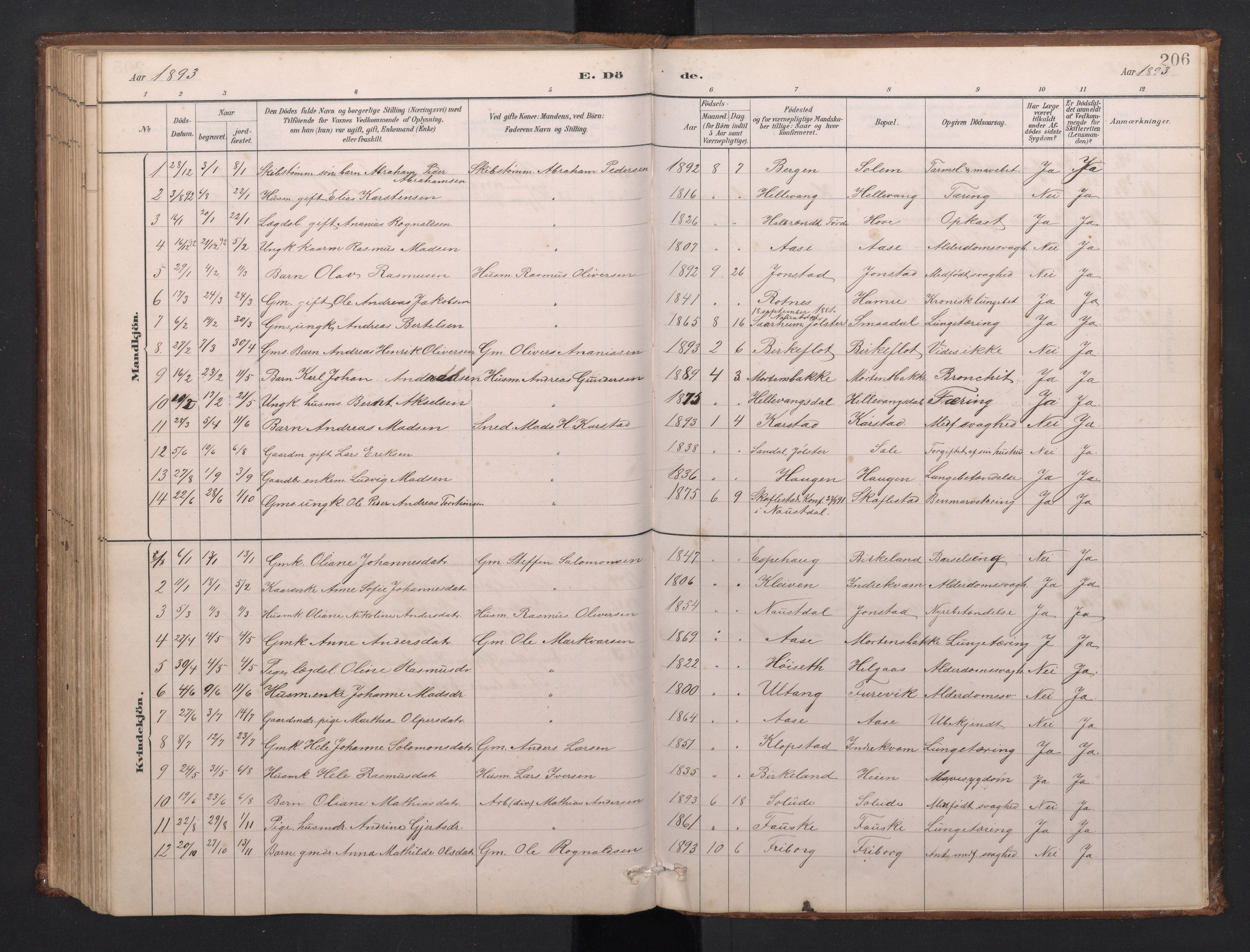 Førde sokneprestembete, AV/SAB-A-79901/H/Hab/Habd/L0003: Klokkerbok nr. D 3, 1881-1897, s. 205b-206a