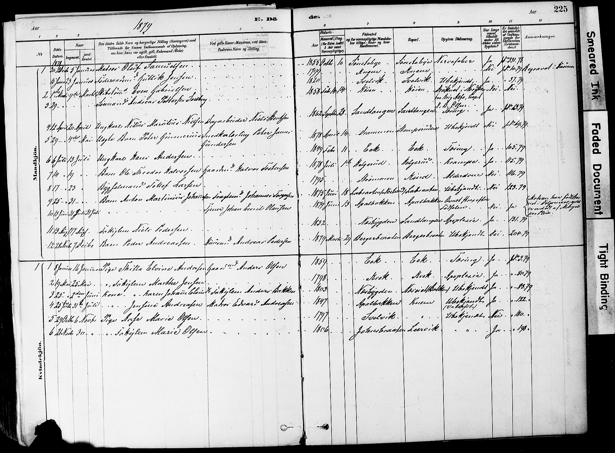 Strømm kirkebøker, AV/SAKO-A-322/F/Fa/L0004: Ministerialbok nr. I 4, 1878-1899, s. 225