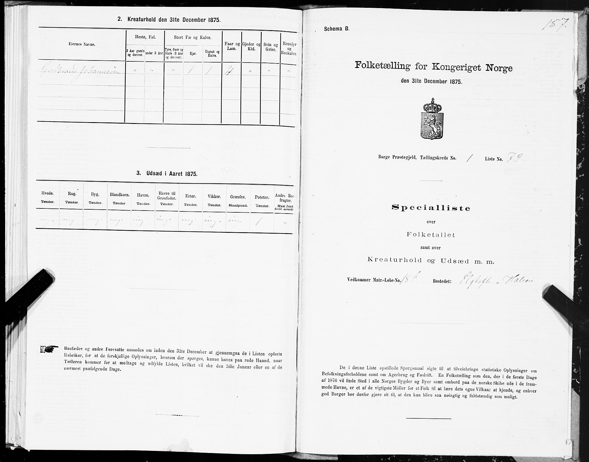 SAT, Folketelling 1875 for 1862P Borge prestegjeld, 1875, s. 1157