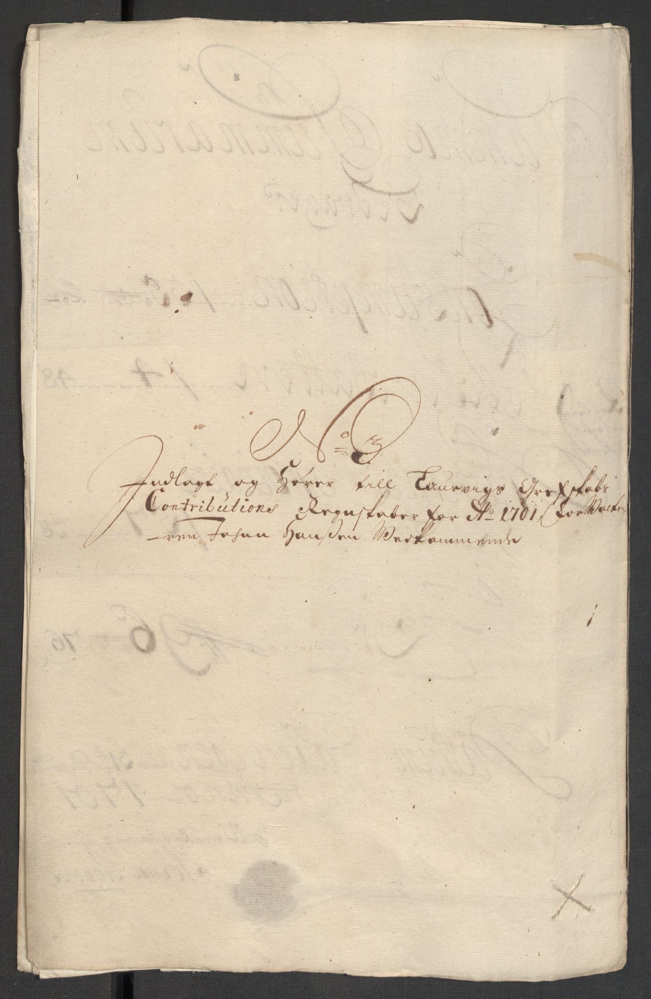Rentekammeret inntil 1814, Reviderte regnskaper, Fogderegnskap, RA/EA-4092/R33/L1976: Fogderegnskap Larvik grevskap, 1698-1701, s. 335