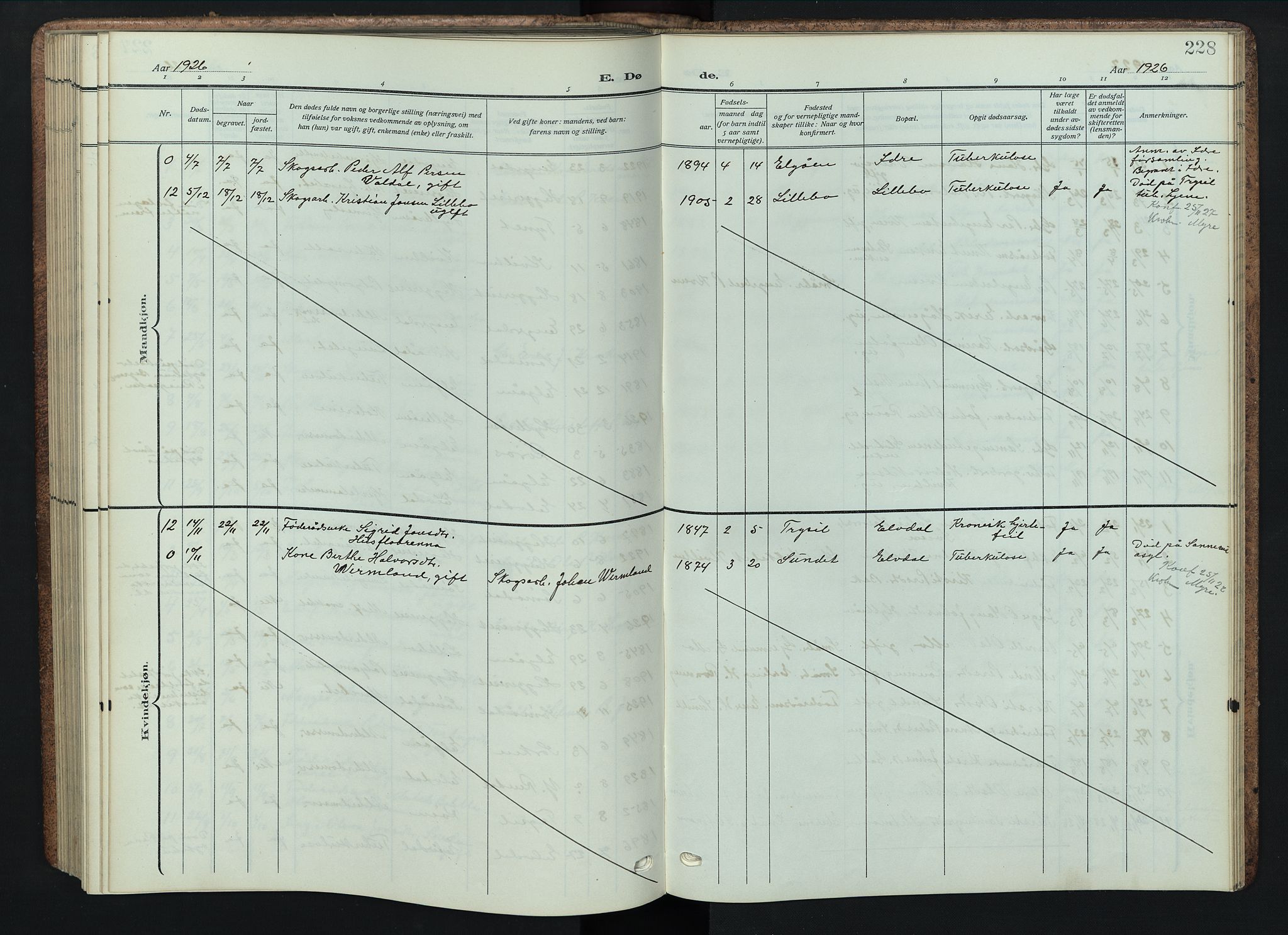 Engerdal prestekontor, SAH/PREST-048/H/Ha/Hab/L0001: Klokkerbok nr. 1, 1911-1947, s. 228