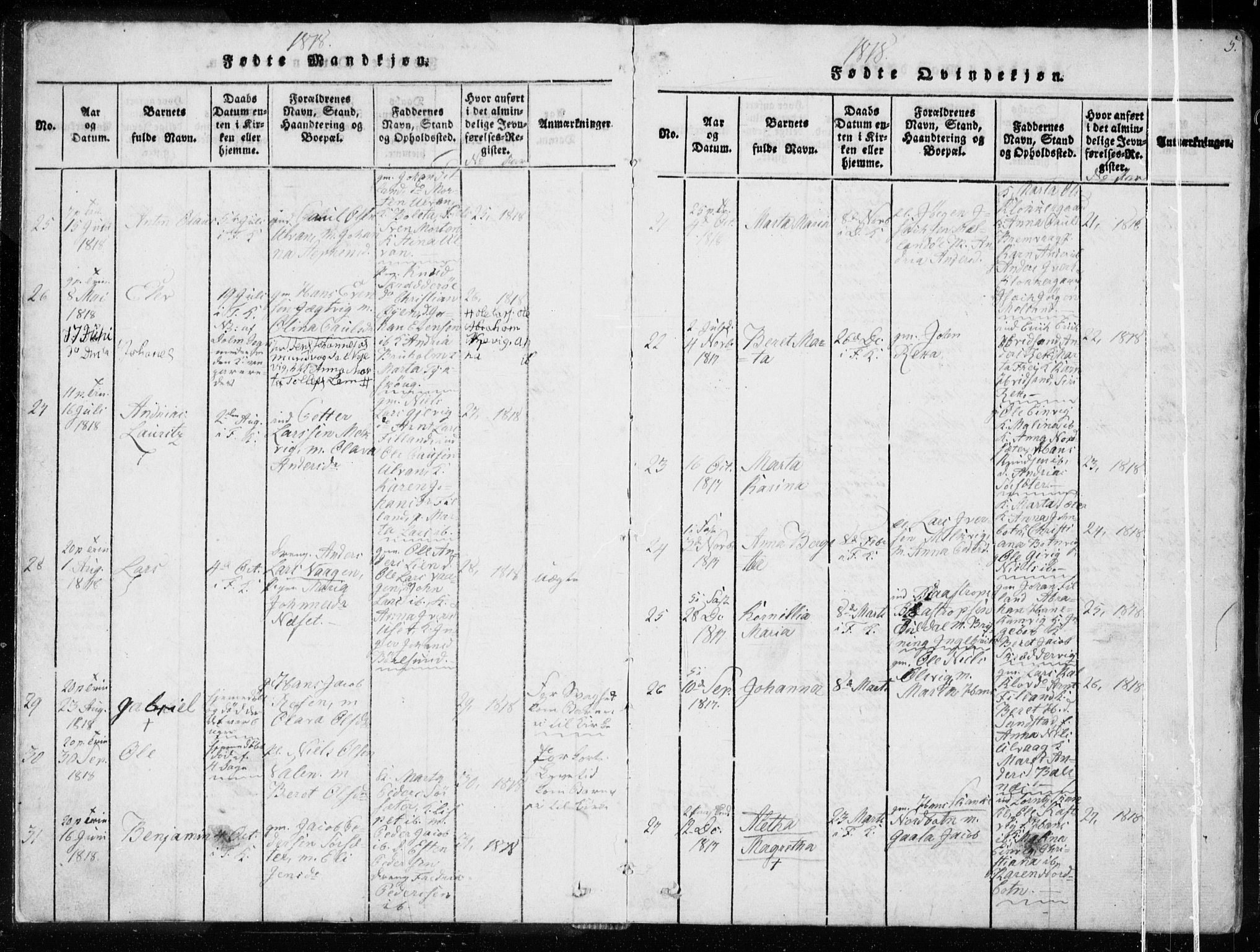 Ministerialprotokoller, klokkerbøker og fødselsregistre - Sør-Trøndelag, SAT/A-1456/634/L0527: Ministerialbok nr. 634A03, 1818-1826, s. 5