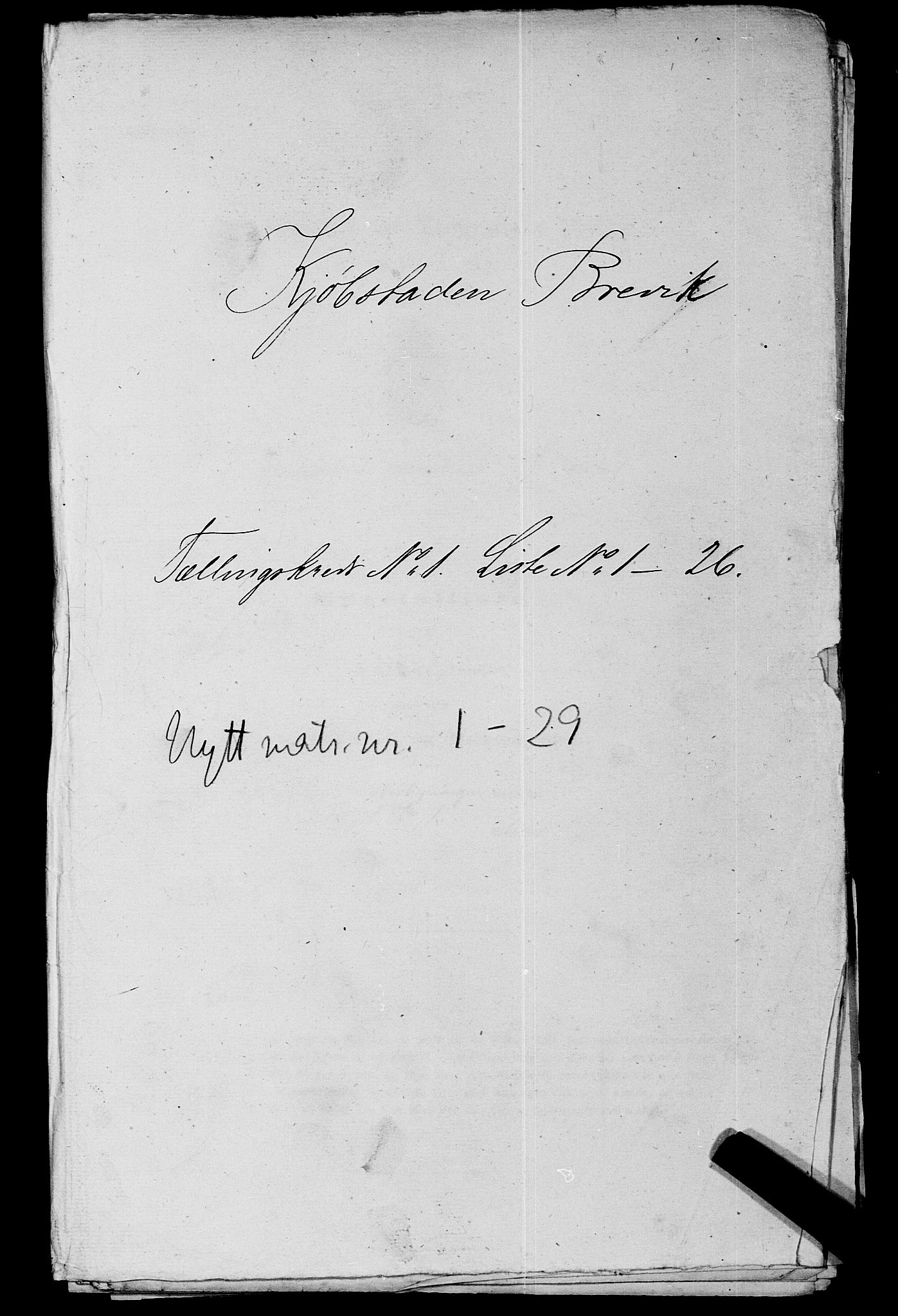 SAKO, Folketelling 1875 for 0804P Brevik prestegjeld, 1875, s. 22