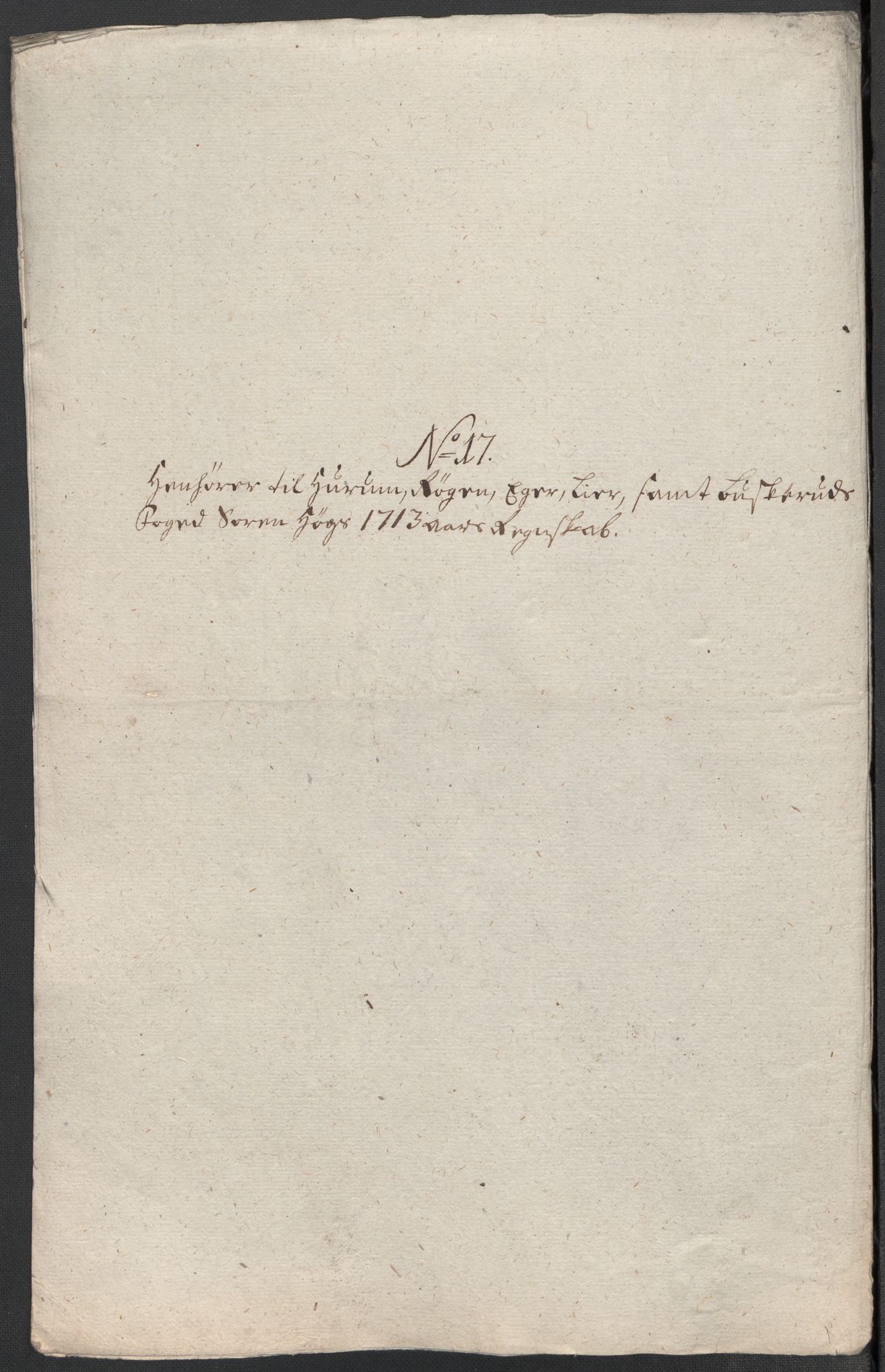 Rentekammeret inntil 1814, Reviderte regnskaper, Fogderegnskap, AV/RA-EA-4092/R31/L1708: Fogderegnskap Hurum, Røyken, Eiker, Lier og Buskerud, 1713, s. 333