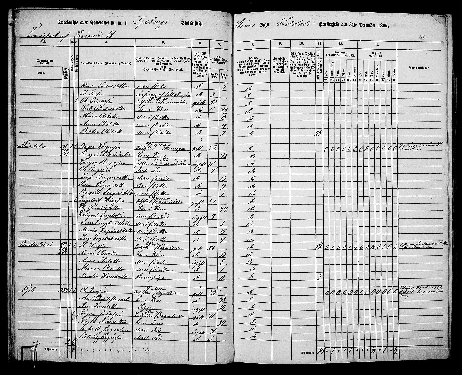 RA, Folketelling 1865 for 0419P Sør-Odal prestegjeld, 1865, s. 51