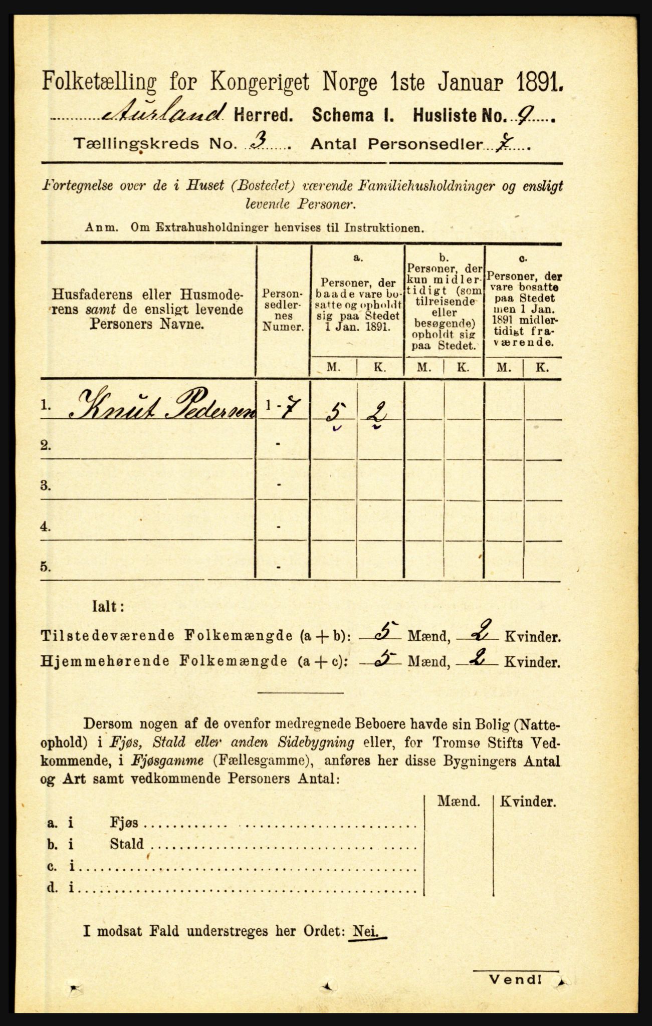 RA, Folketelling 1891 for 1421 Aurland herred, 1891, s. 885