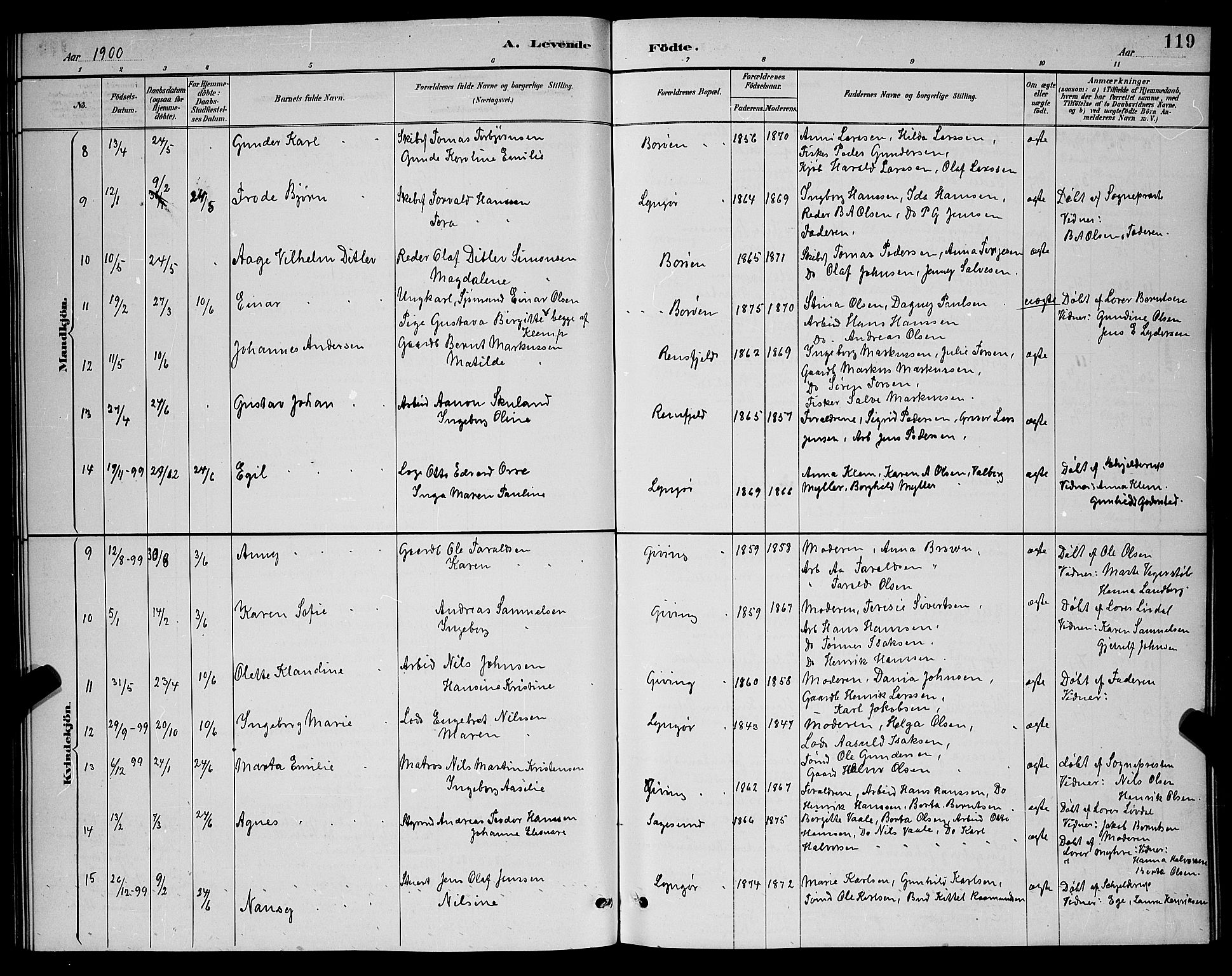 Dypvåg sokneprestkontor, AV/SAK-1111-0007/F/Fb/Fba/L0013: Klokkerbok nr. B 13, 1887-1900, s. 119