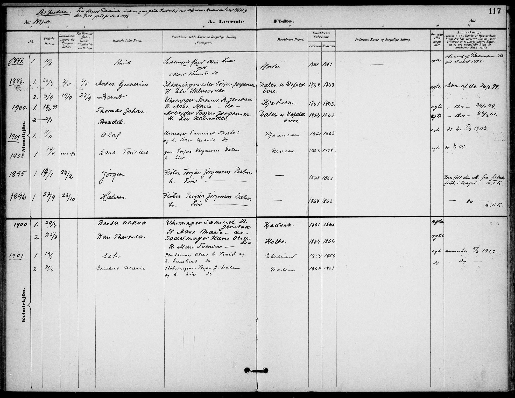 Drangedal kirkebøker, AV/SAKO-A-258/F/Fa/L0012: Ministerialbok nr. 12, 1895-1905, s. 117
