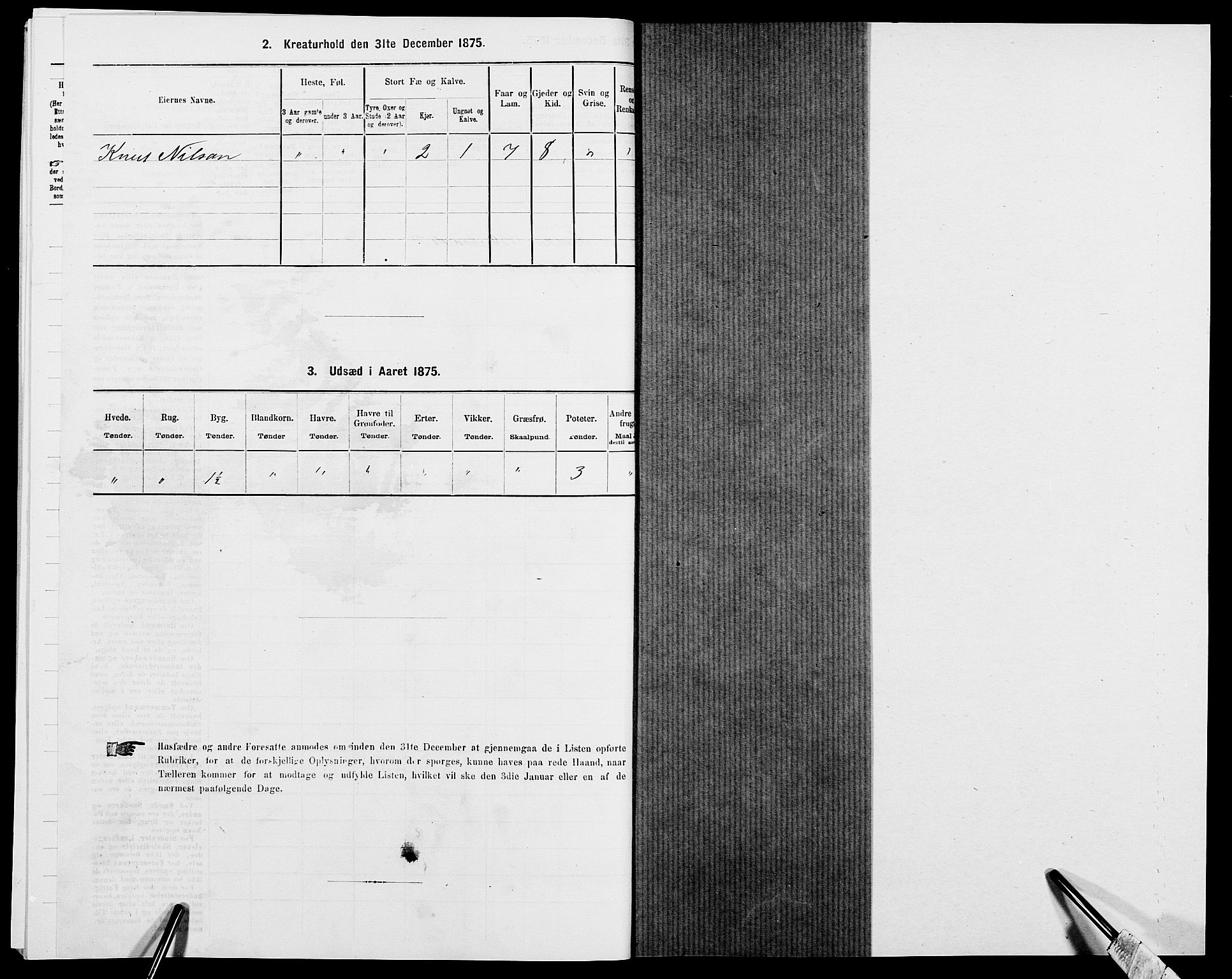 SAK, Folketelling 1875 for 0980P Åseral prestegjeld, 1875, s. 216