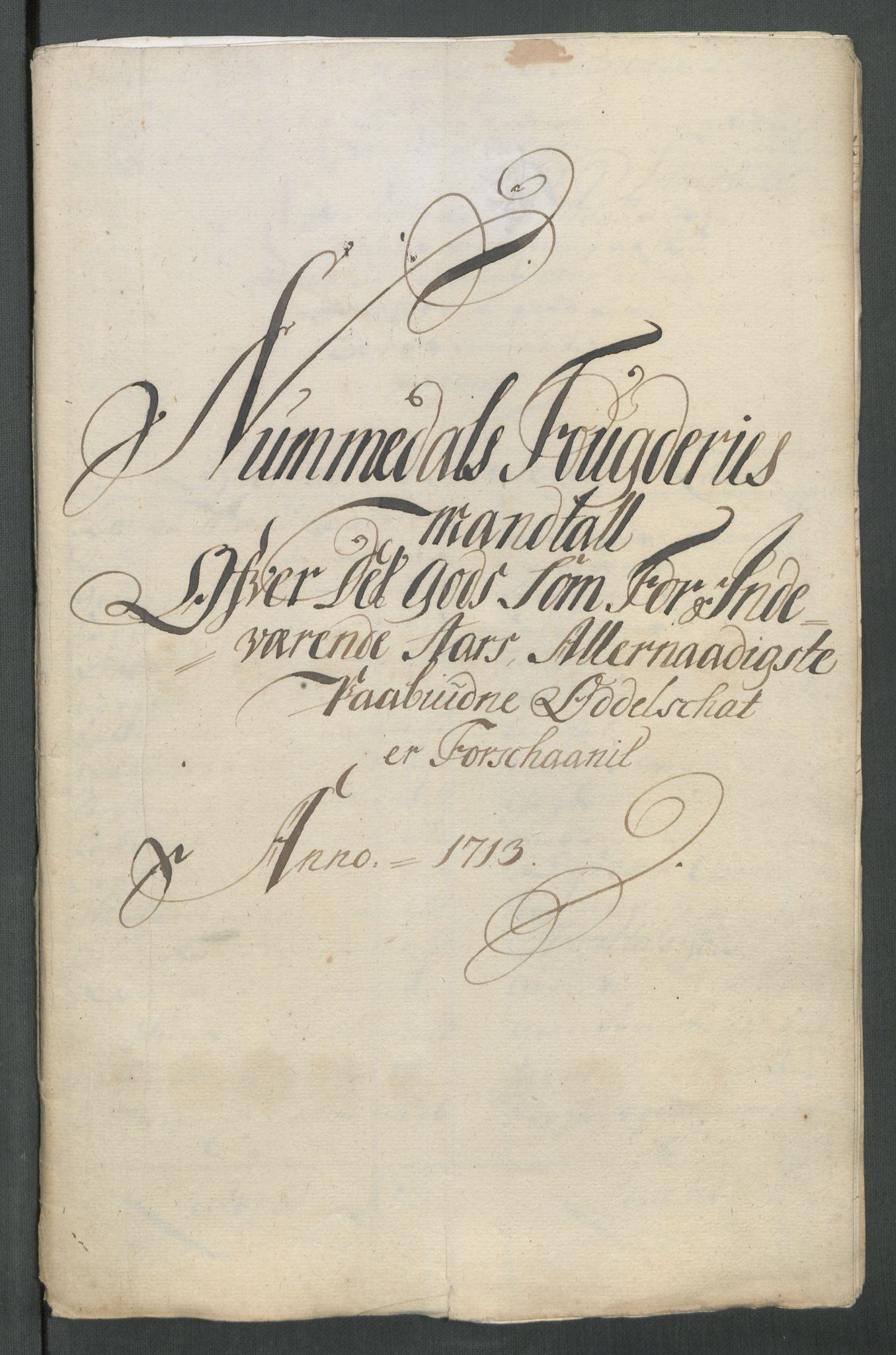 Rentekammeret inntil 1814, Reviderte regnskaper, Fogderegnskap, RA/EA-4092/R64/L4434: Fogderegnskap Namdal, 1713, s. 228