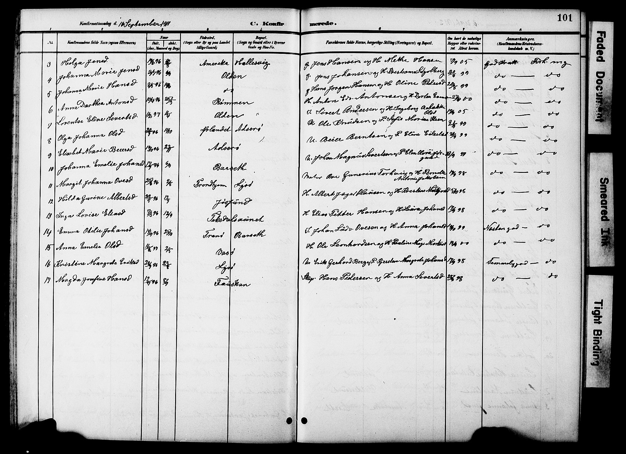 Ministerialprotokoller, klokkerbøker og fødselsregistre - Sør-Trøndelag, AV/SAT-A-1456/654/L0666: Klokkerbok nr. 654C02, 1901-1925, s. 101