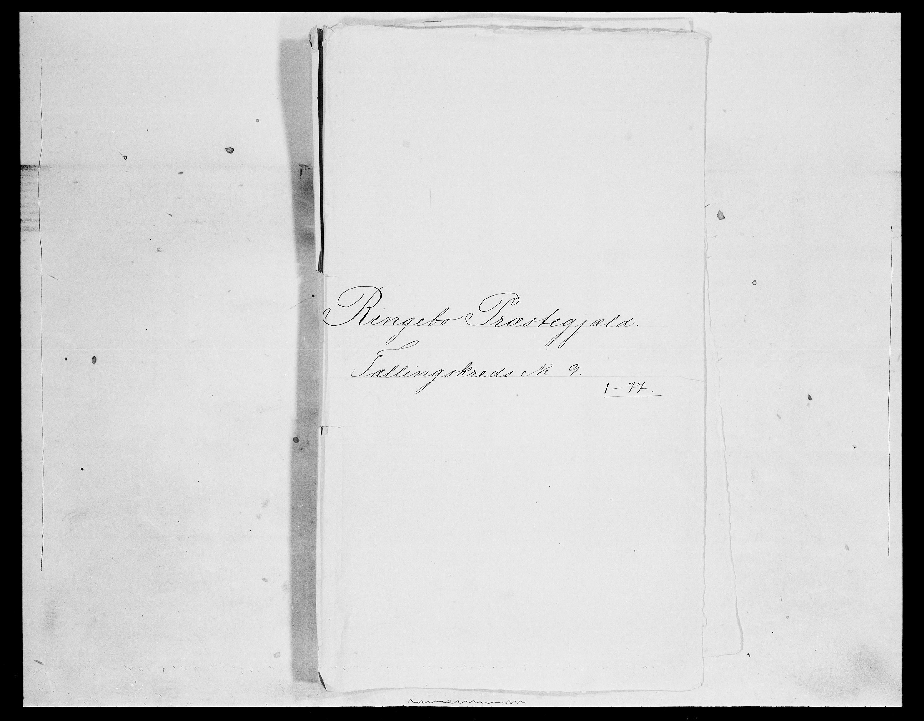 SAH, Folketelling 1875 for 0520P Ringebu prestegjeld, 1875, s. 1334