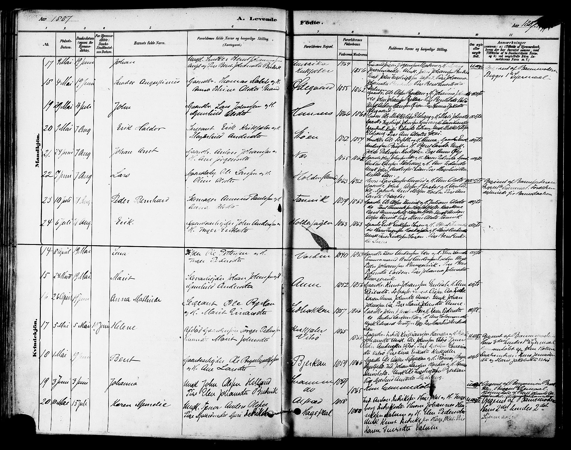 Ministerialprotokoller, klokkerbøker og fødselsregistre - Sør-Trøndelag, AV/SAT-A-1456/630/L0496: Ministerialbok nr. 630A09, 1879-1895, s. 67