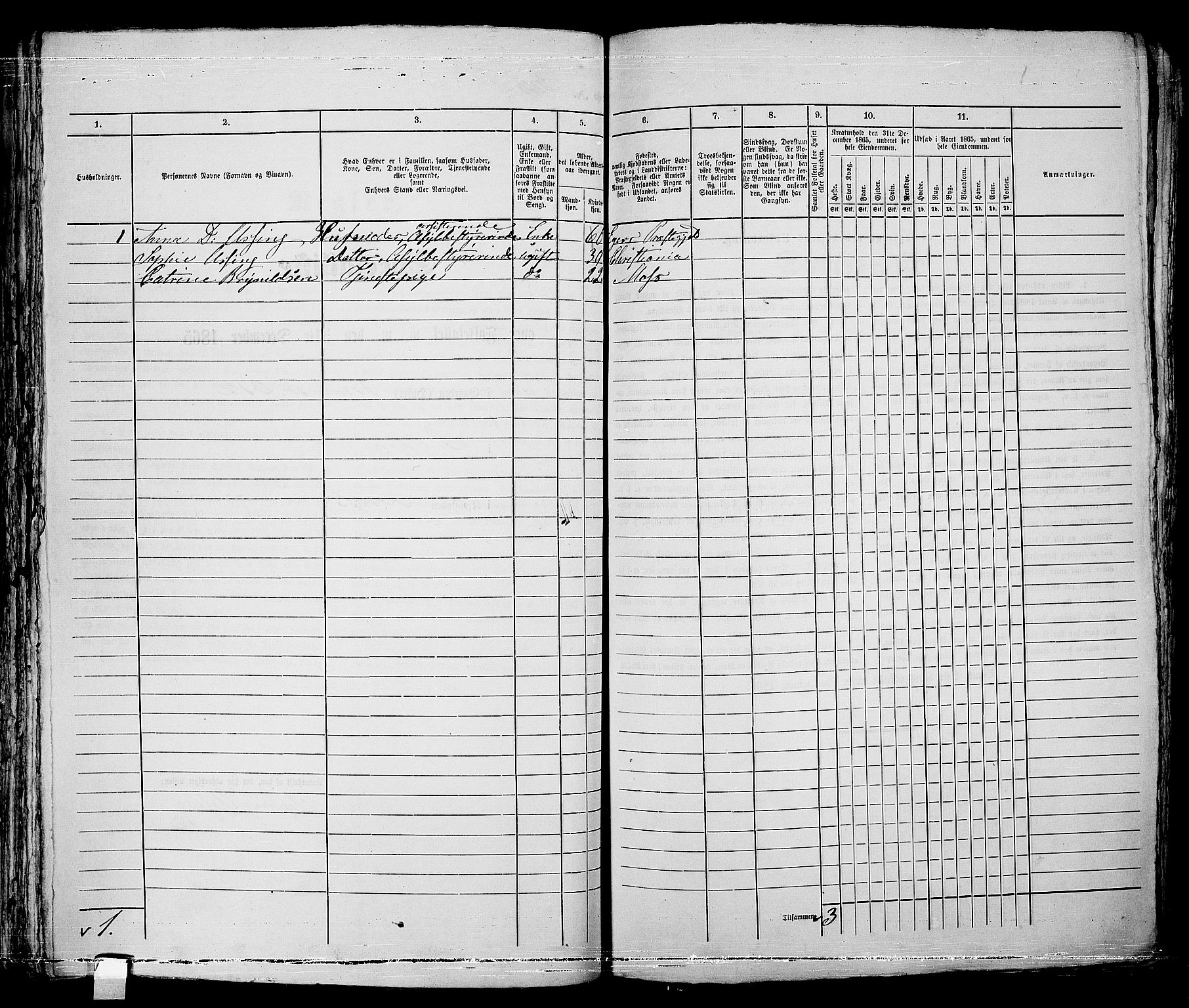 RA, Folketelling 1865 for 0104B Moss prestegjeld, Moss kjøpstad, 1865, s. 499