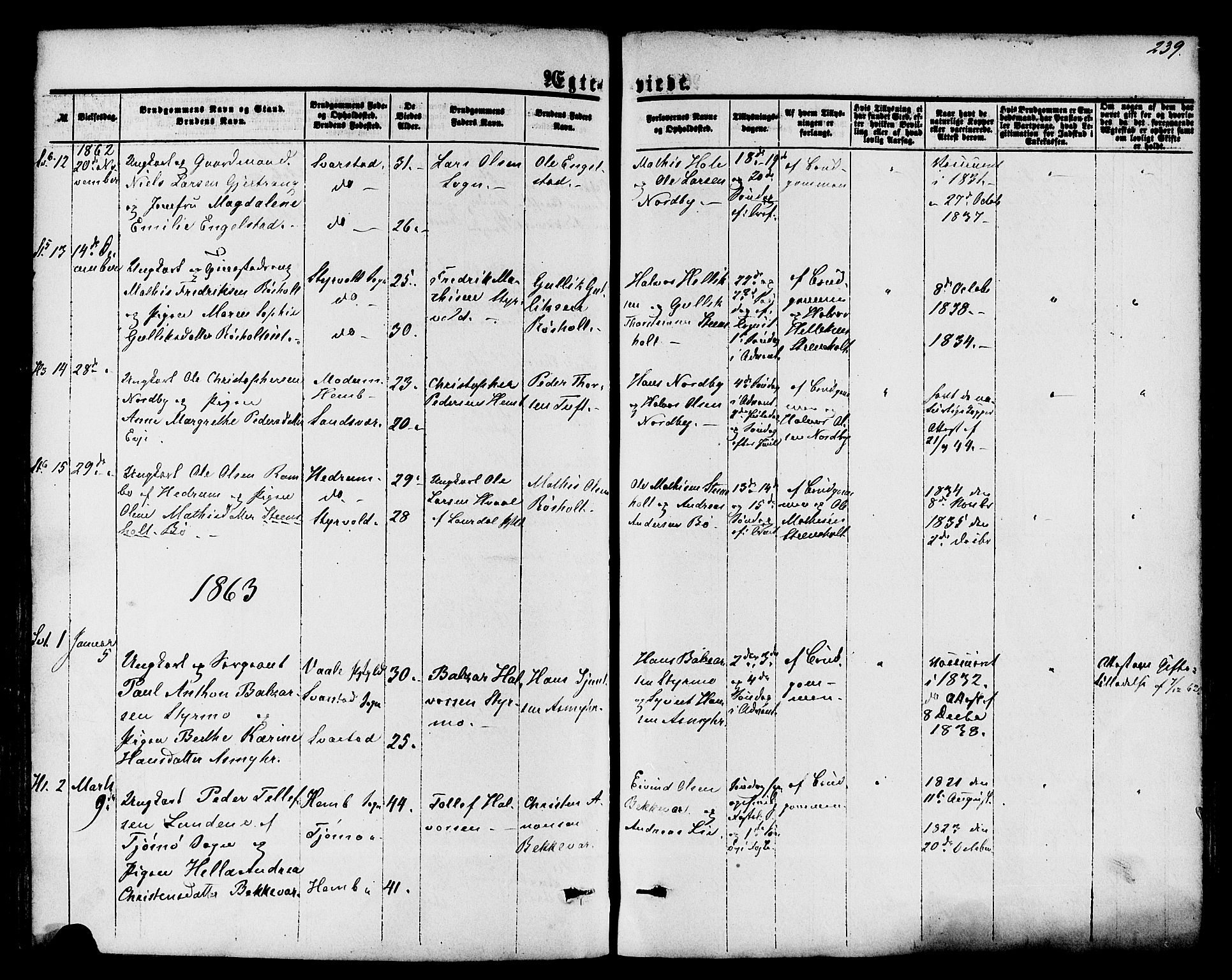 Lardal kirkebøker, AV/SAKO-A-350/F/Fa/L0007: Ministerialbok nr. I 7, 1861-1880, s. 239