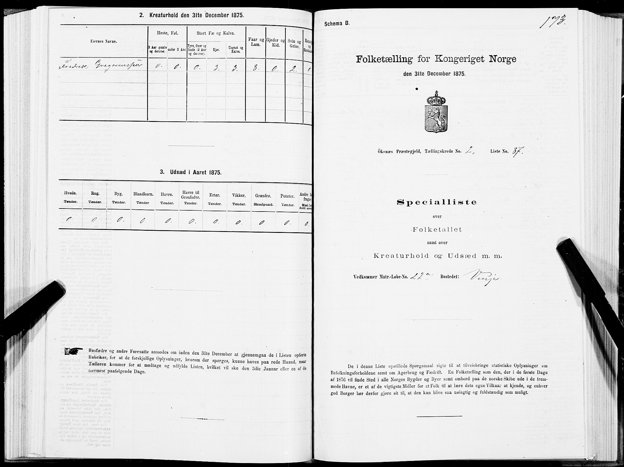 SAT, Folketelling 1875 for 1868P Øksnes prestegjeld, 1875, s. 2173