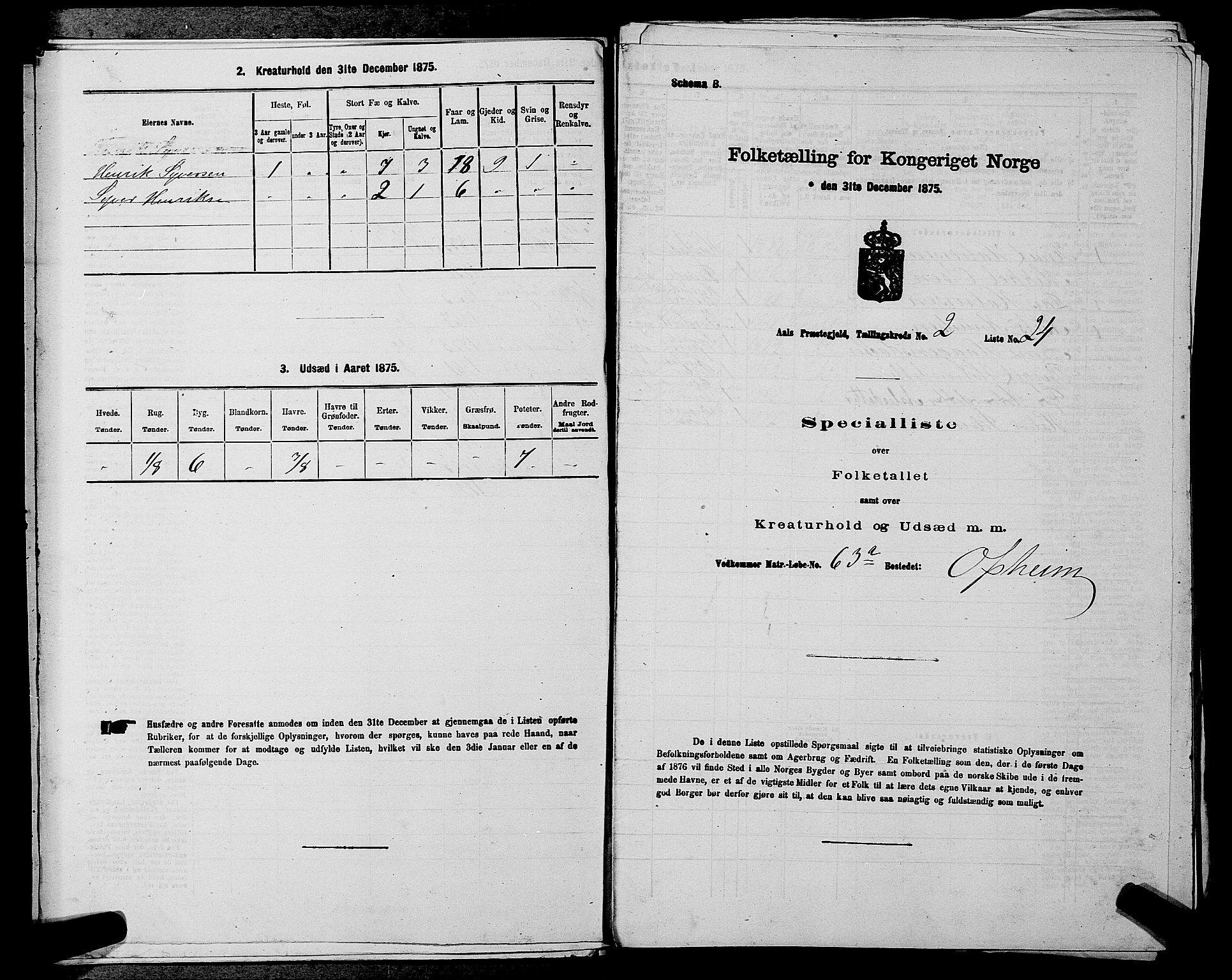SAKO, Folketelling 1875 for 0619P Ål prestegjeld, 1875, s. 234
