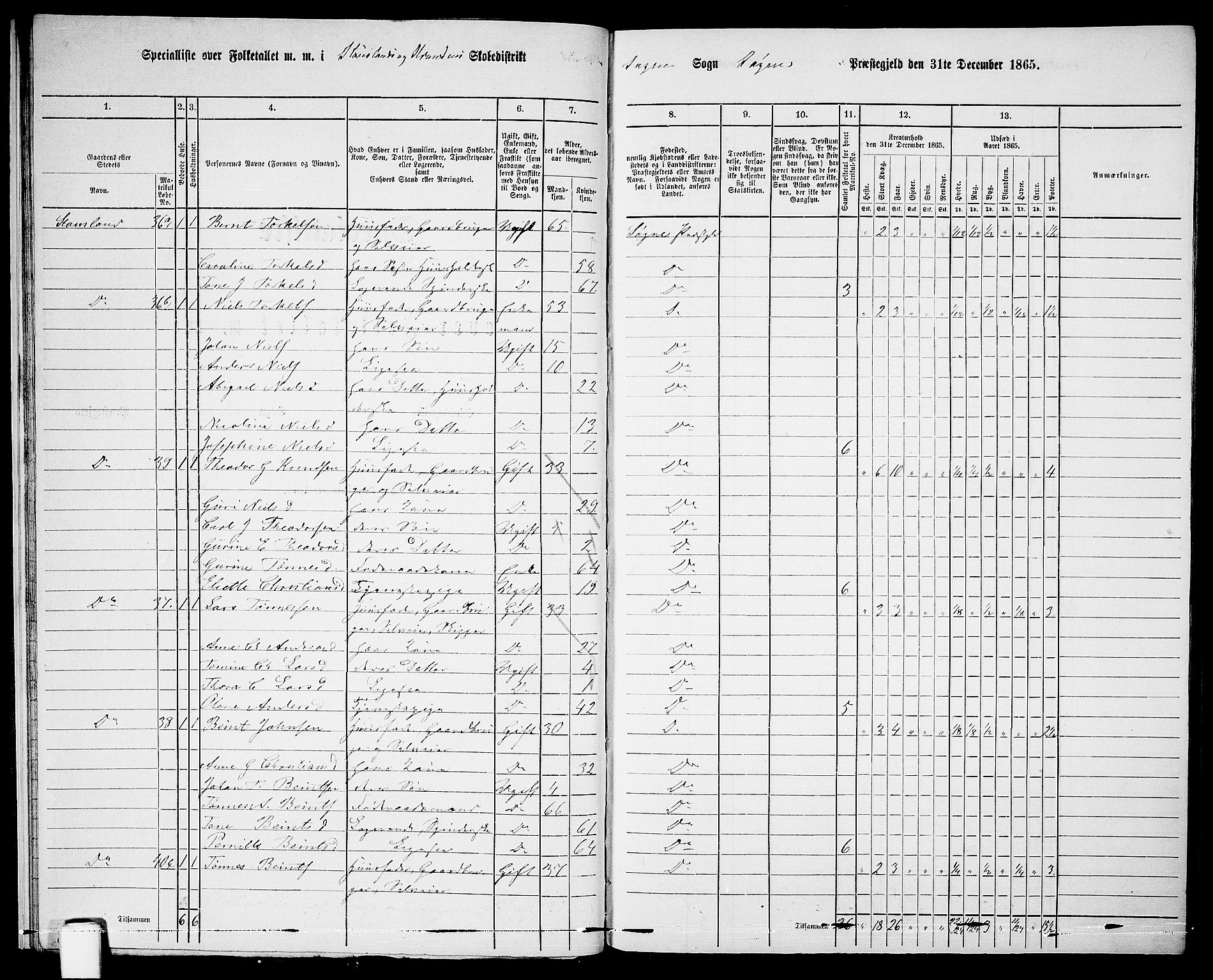 RA, Folketelling 1865 for 1018P Søgne prestegjeld, 1865, s. 29