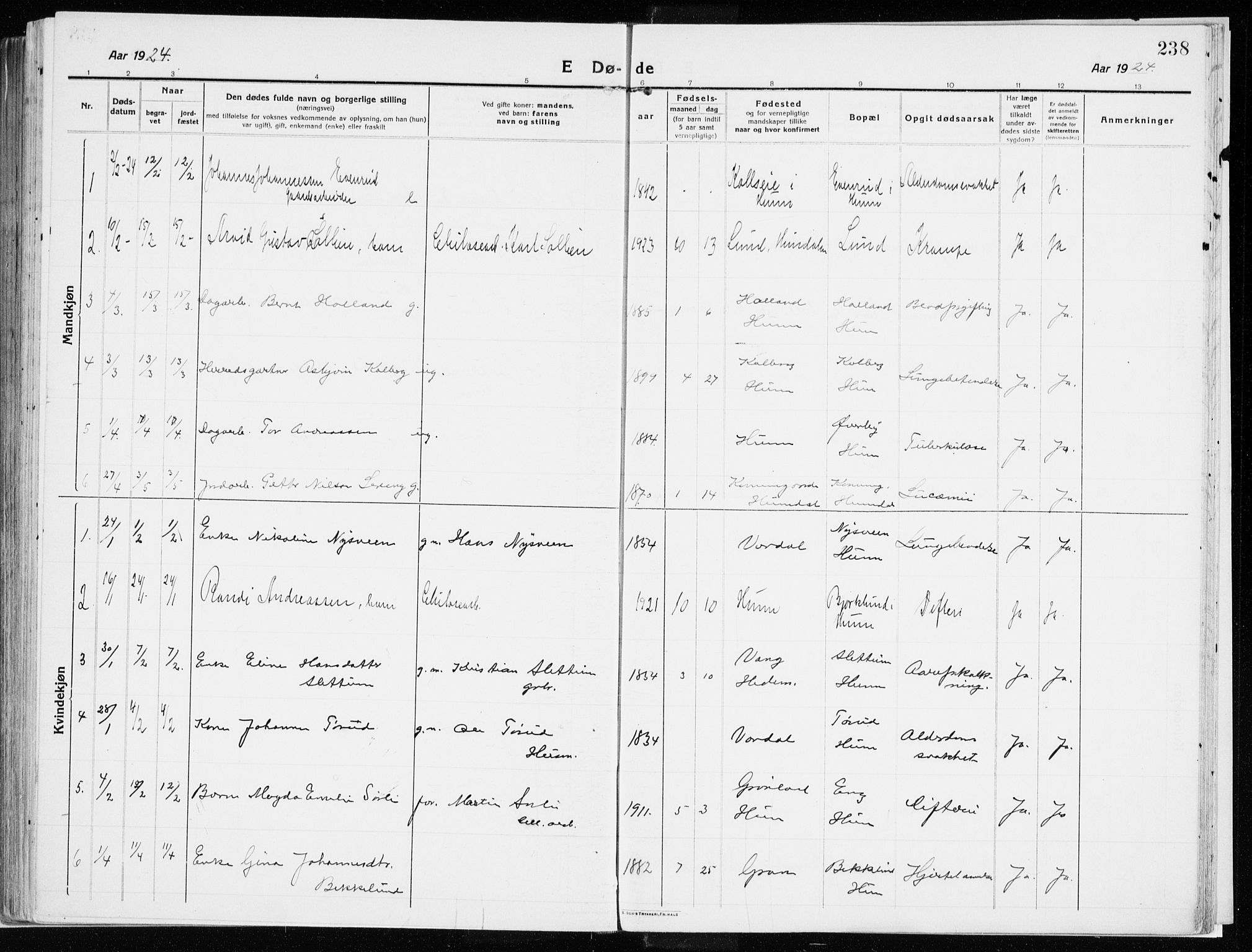 Vardal prestekontor, AV/SAH-PREST-100/H/Ha/Haa/L0017: Ministerialbok nr. 17, 1915-1929, s. 238