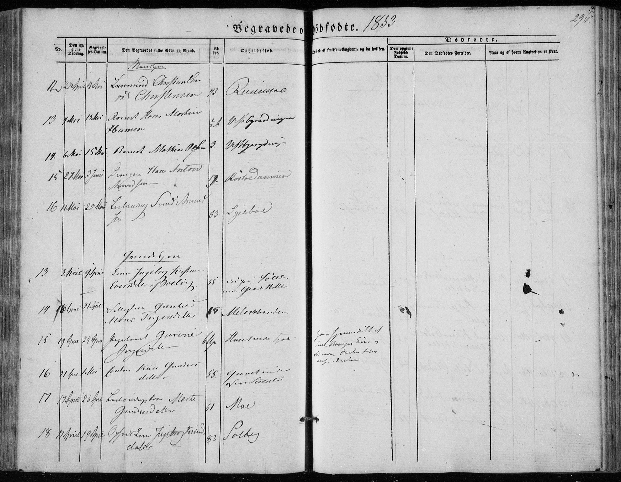 Hedrum kirkebøker, AV/SAKO-A-344/F/Fa/L0006: Ministerialbok nr. I 6, 1849-1857, s. 296