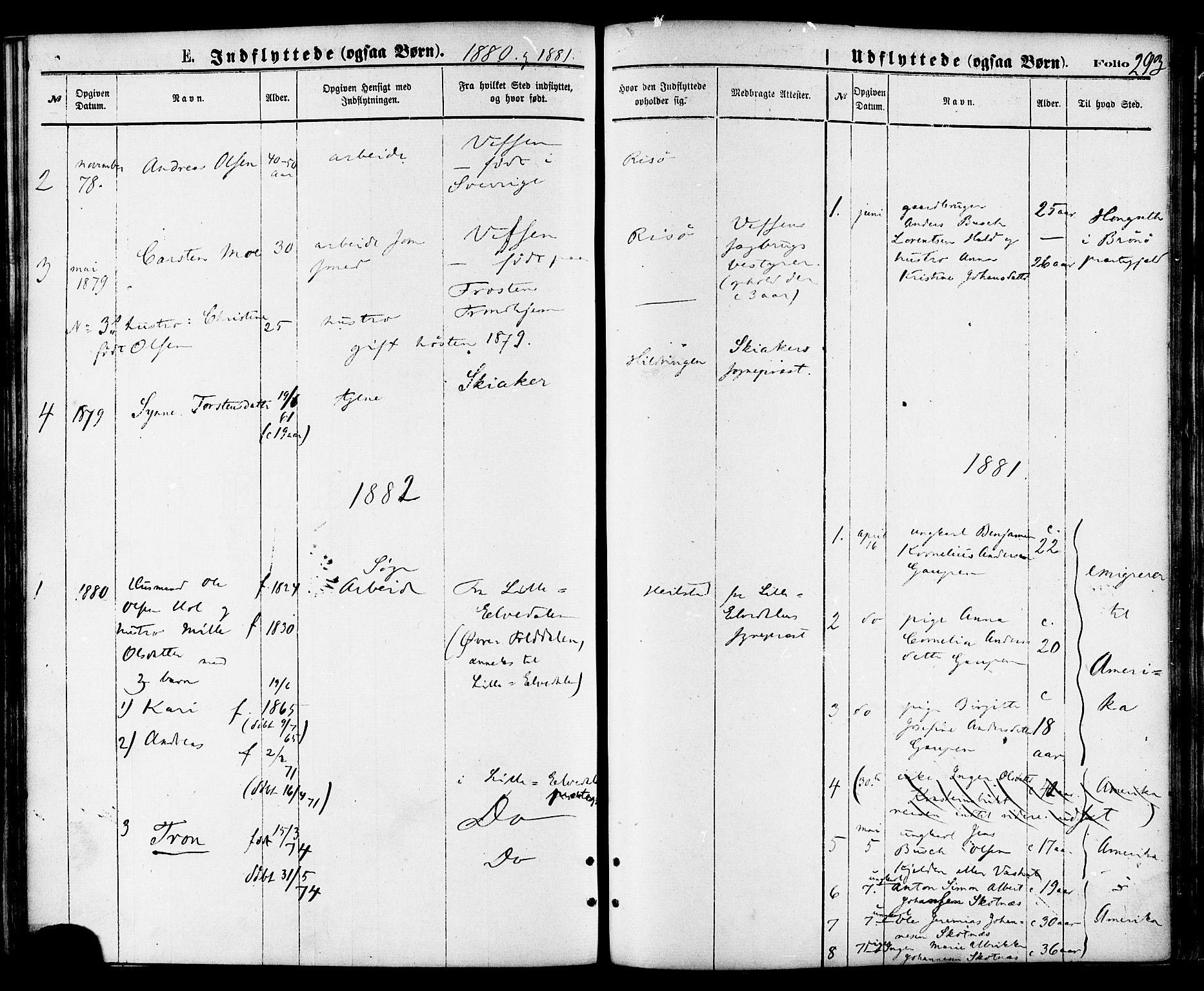 Ministerialprotokoller, klokkerbøker og fødselsregistre - Nordland, AV/SAT-A-1459/810/L0148: Ministerialbok nr. 810A09 /1, 1874-1884, s. 293