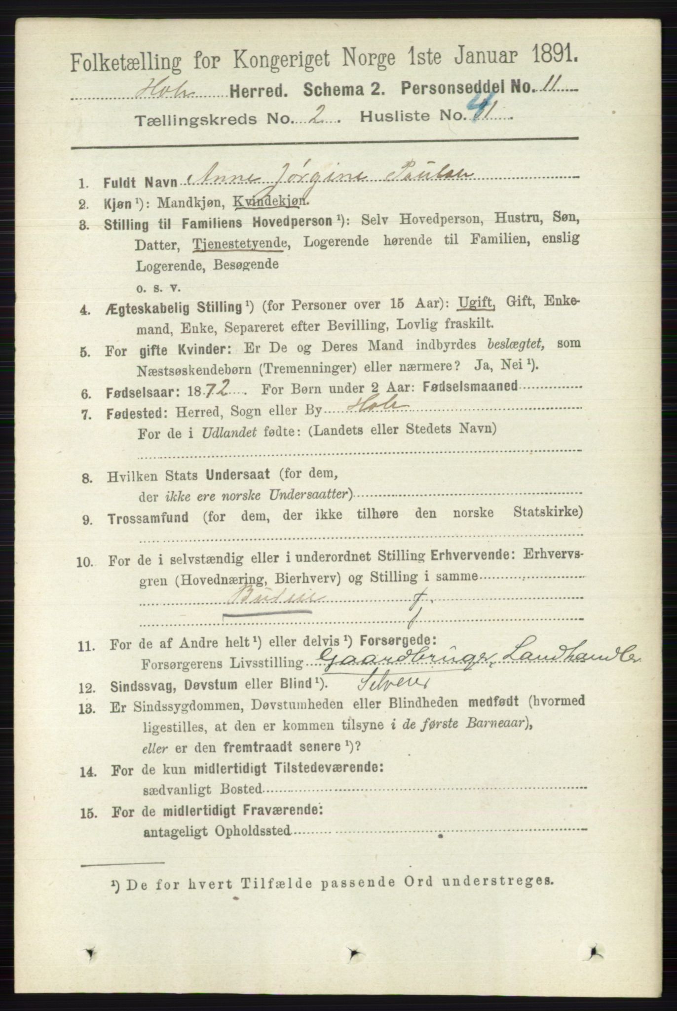 RA, Folketelling 1891 for 0612 Hole herred, 1891, s. 936