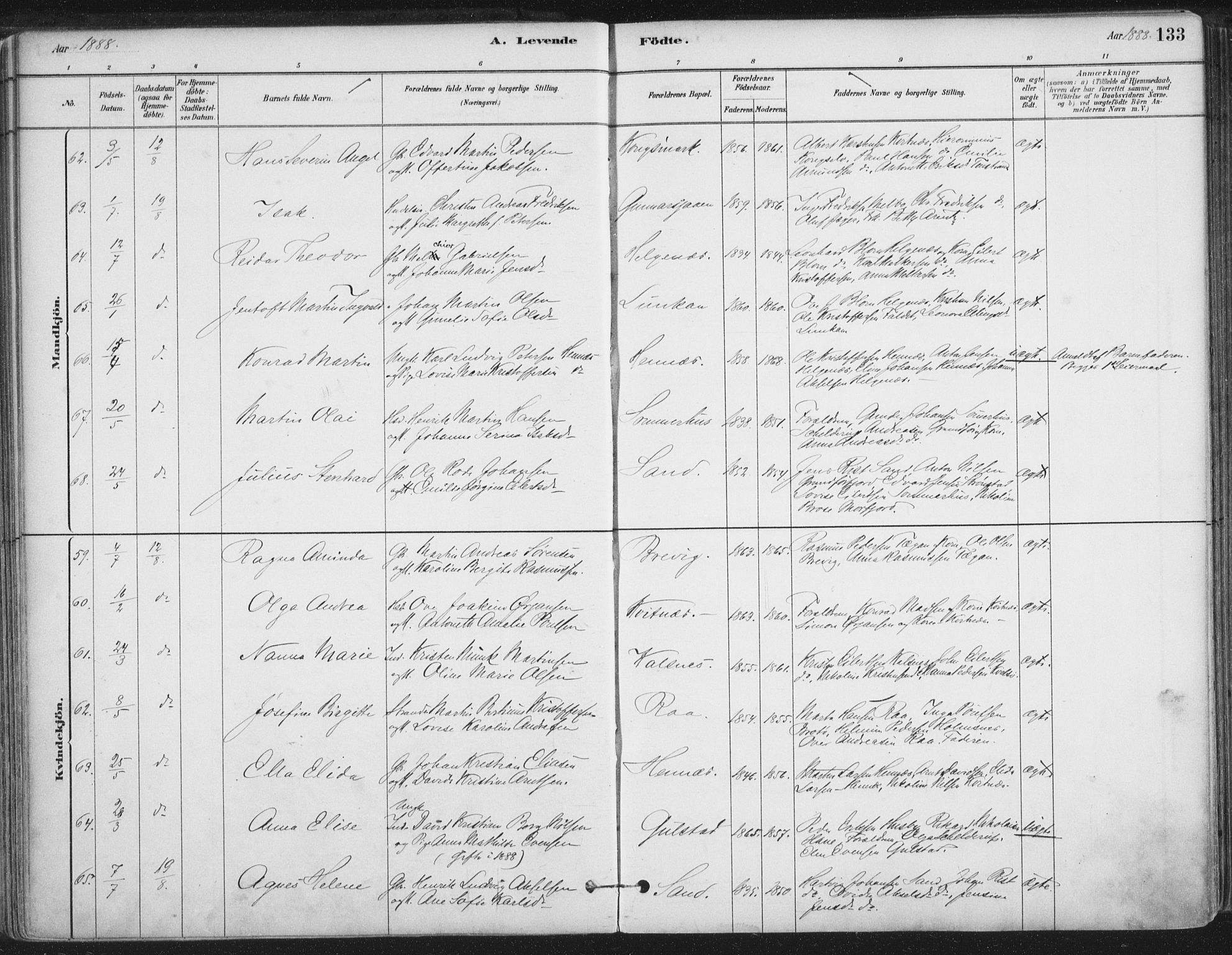 Ministerialprotokoller, klokkerbøker og fødselsregistre - Nordland, AV/SAT-A-1459/888/L1244: Ministerialbok nr. 888A10, 1880-1890, s. 133