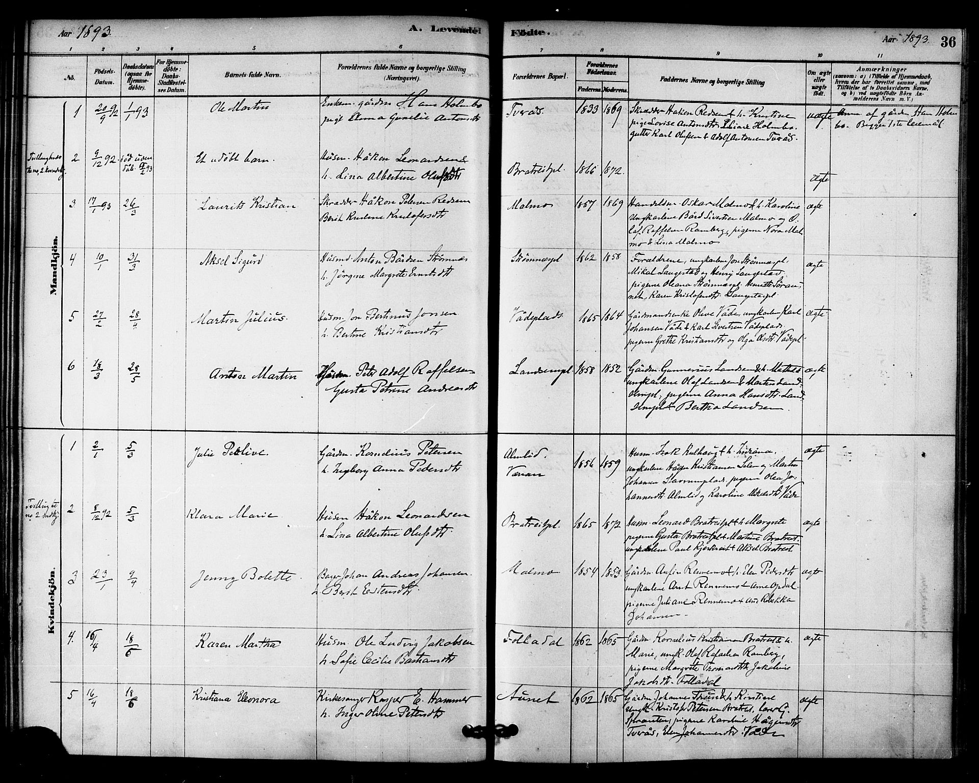 Ministerialprotokoller, klokkerbøker og fødselsregistre - Nord-Trøndelag, AV/SAT-A-1458/745/L0429: Ministerialbok nr. 745A01, 1878-1894, s. 36