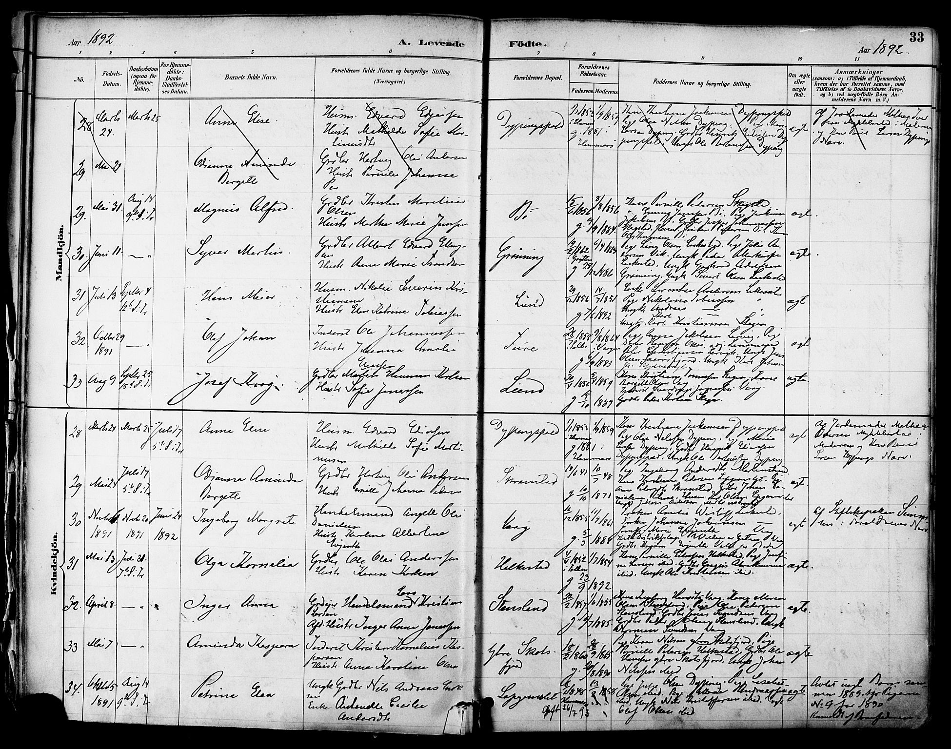Ministerialprotokoller, klokkerbøker og fødselsregistre - Nordland, AV/SAT-A-1459/855/L0803: Ministerialbok nr. 855A11, 1887-1905, s. 33