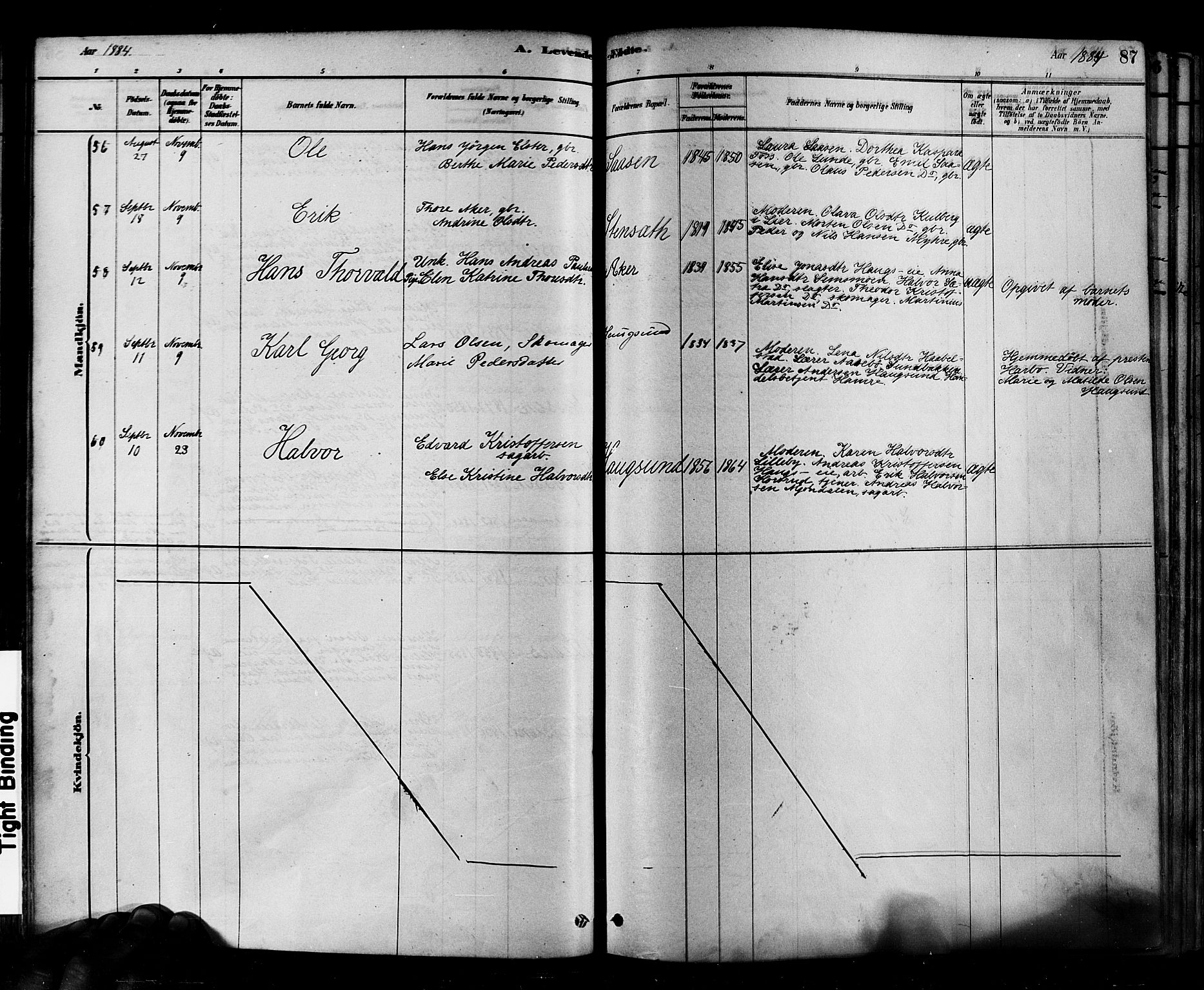 Eiker kirkebøker, AV/SAKO-A-4/F/Fb/L0001: Ministerialbok nr. II 1, 1878-1888, s. 87
