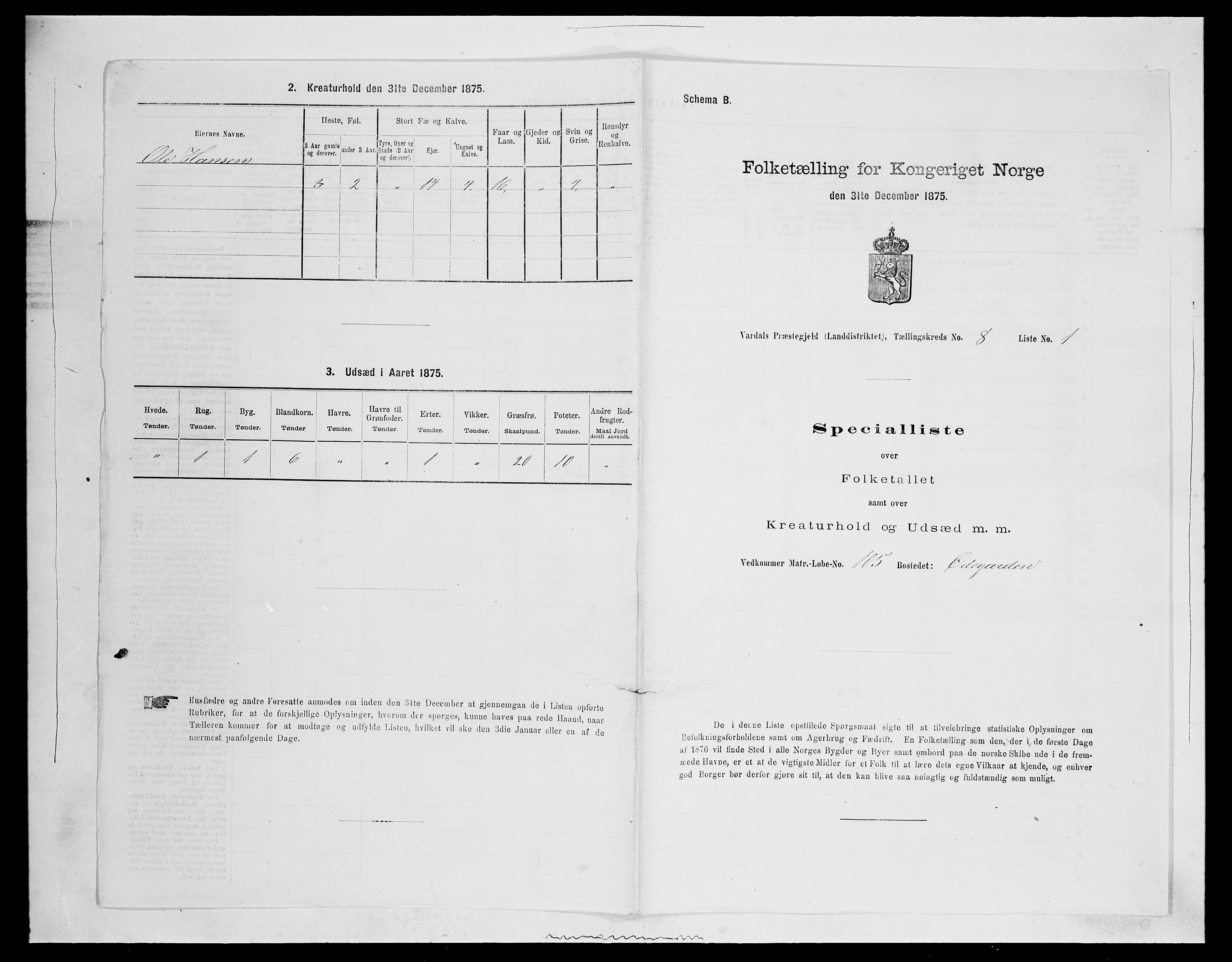 SAH, Folketelling 1875 for 0527L Vardal prestegjeld, Vardal sokn og Hunn sokn, 1875, s. 1124