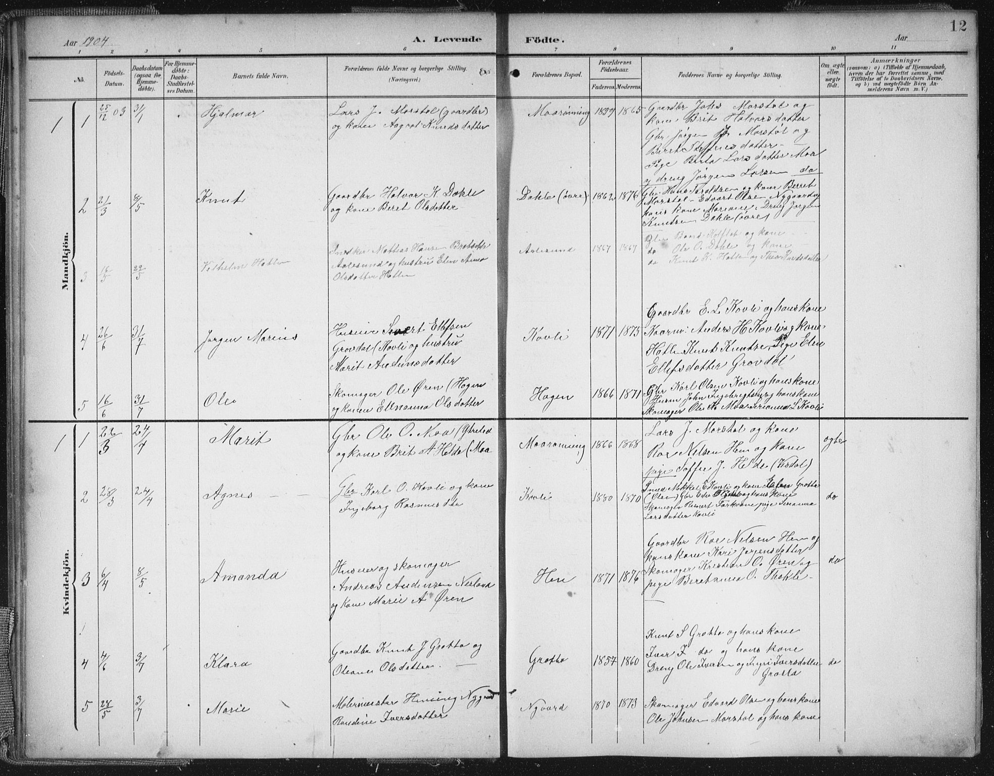 Ministerialprotokoller, klokkerbøker og fødselsregistre - Møre og Romsdal, AV/SAT-A-1454/545/L0589: Klokkerbok nr. 545C03, 1902-1937, s. 12