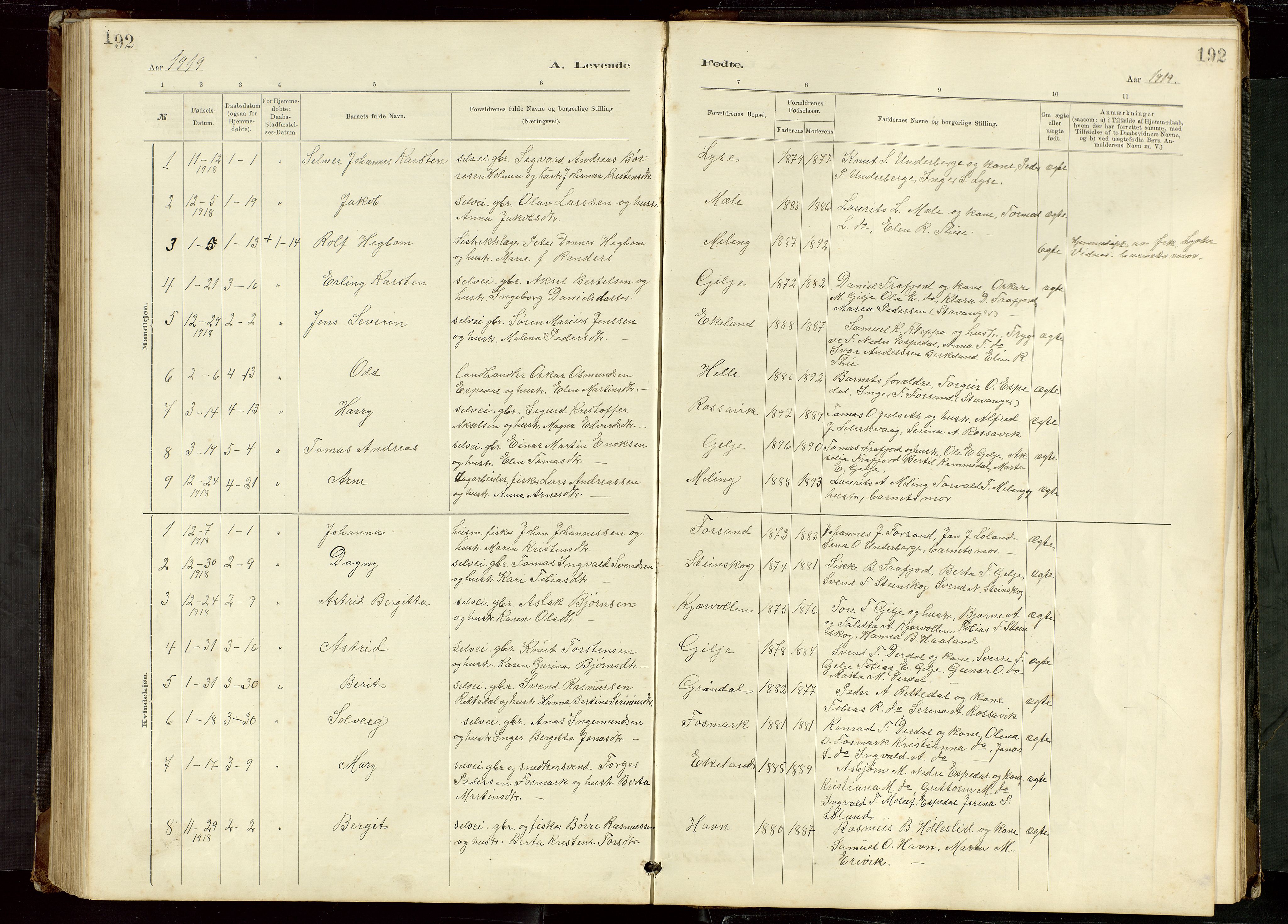 Høgsfjord sokneprestkontor, AV/SAST-A-101624/H/Ha/Hab/L0009: Klokkerbok nr. B 9, 1883-1920, s. 192