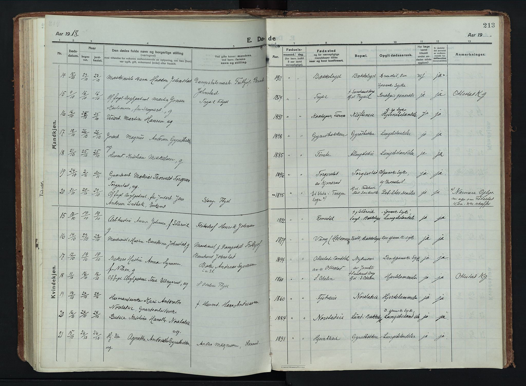 Stange prestekontor, AV/SAH-PREST-002/K/L0028: Ministerialbok nr. 28, 1913-1932, s. 213