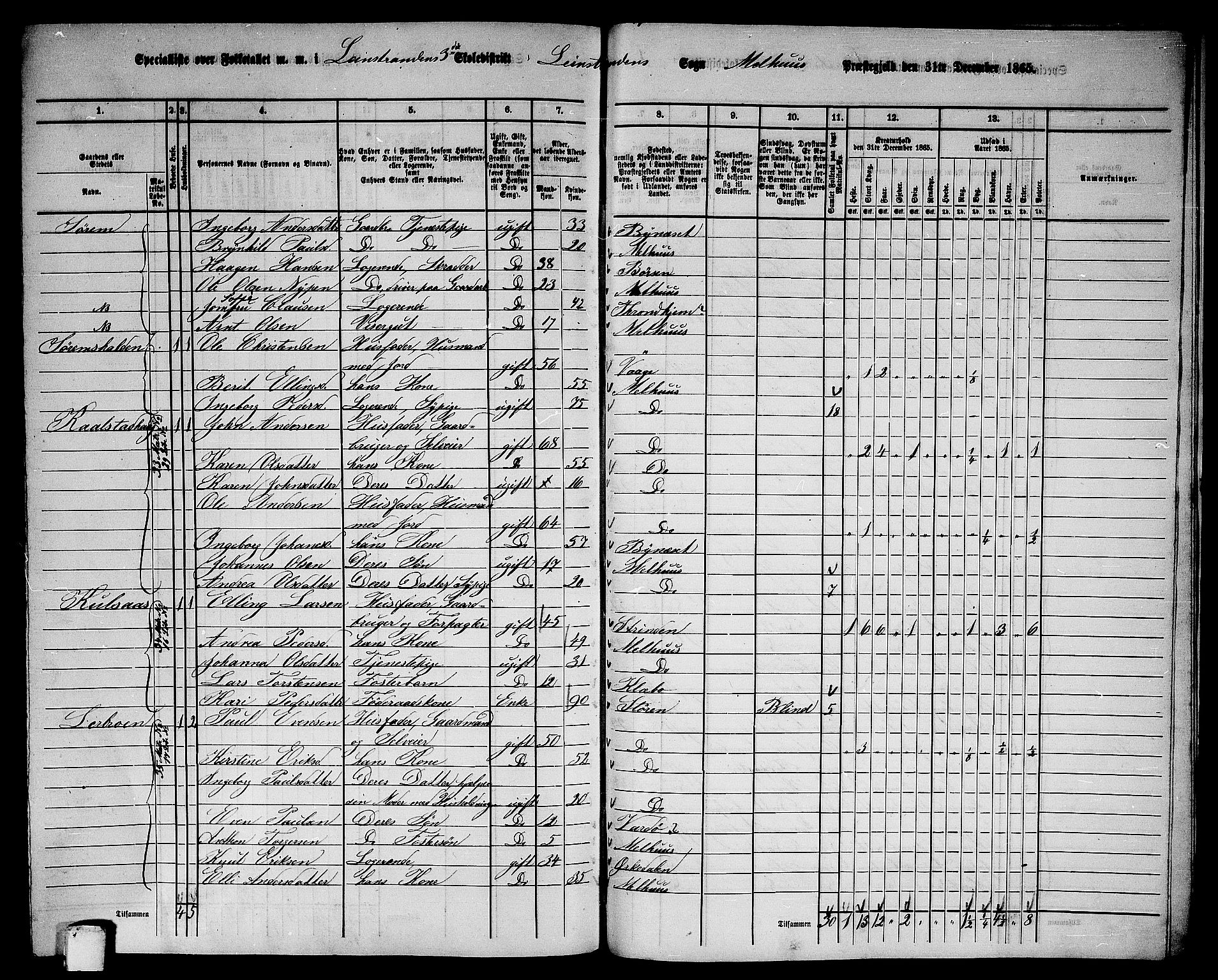 RA, Folketelling 1865 for 1653P Melhus prestegjeld, 1865, s. 241