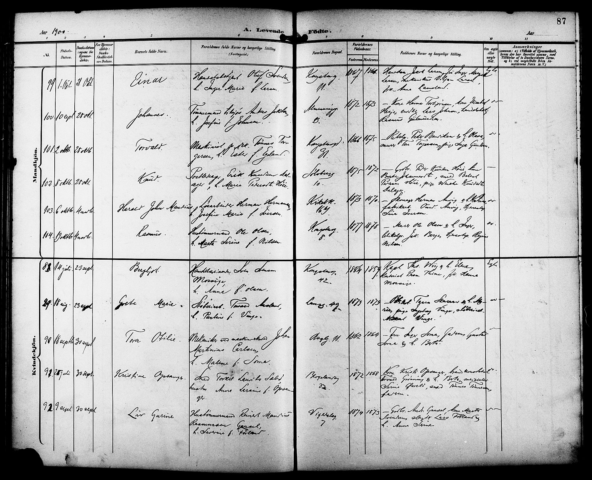 St. Petri sokneprestkontor, AV/SAST-A-101813/001/30/30BB/L0008: Klokkerbok nr. B 8, 1897-1905, s. 87