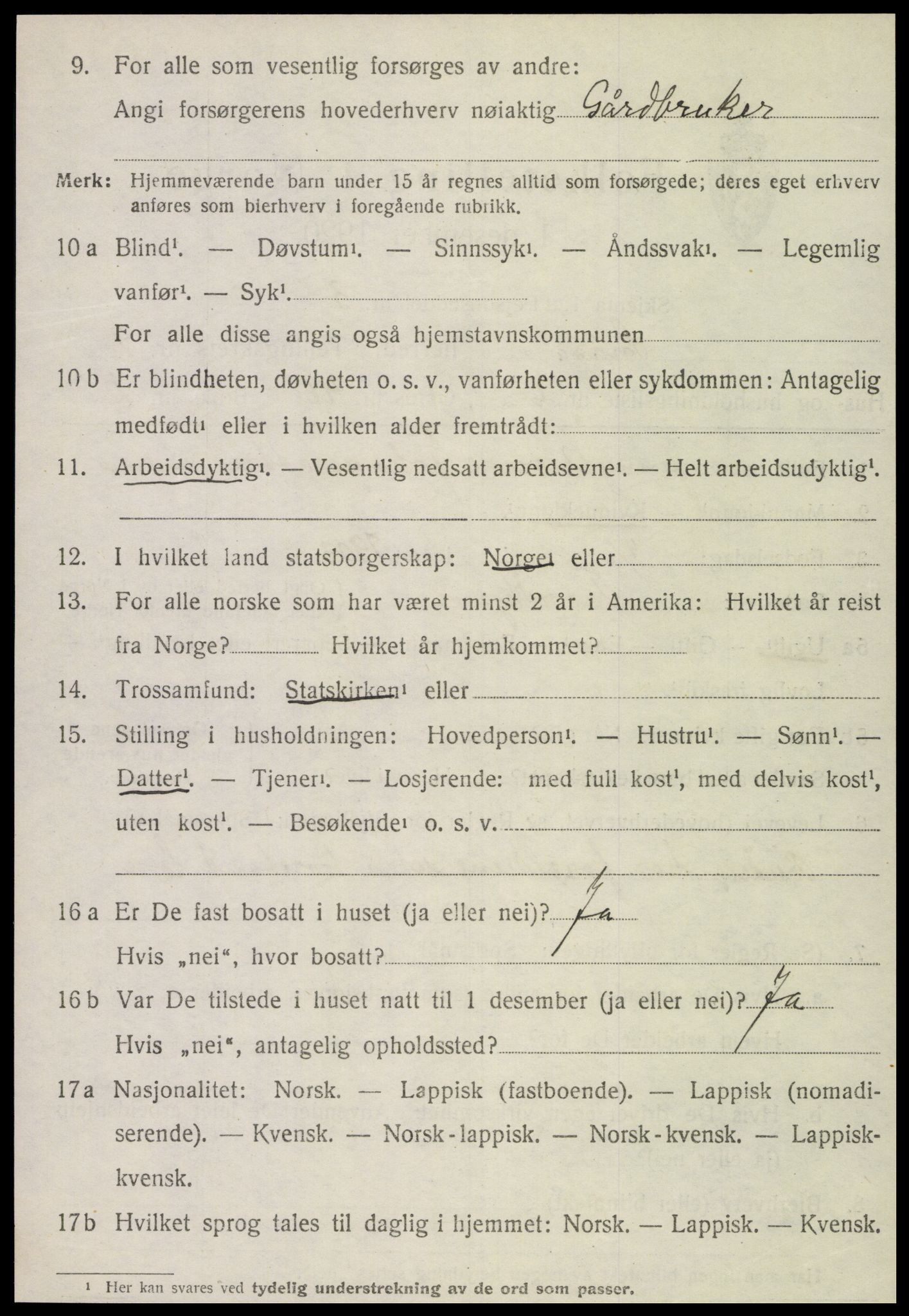 SAT, Folketelling 1920 for 1736 Snåsa herred, 1920, s. 3729