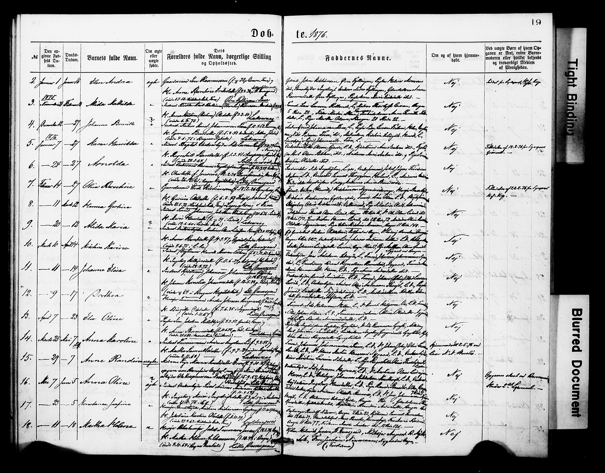 Askøy Sokneprestembete, AV/SAB-A-74101/H/Ha/Haa/Haae/L0001: Ministerialbok nr. E 1, 1875-1877, s. 19