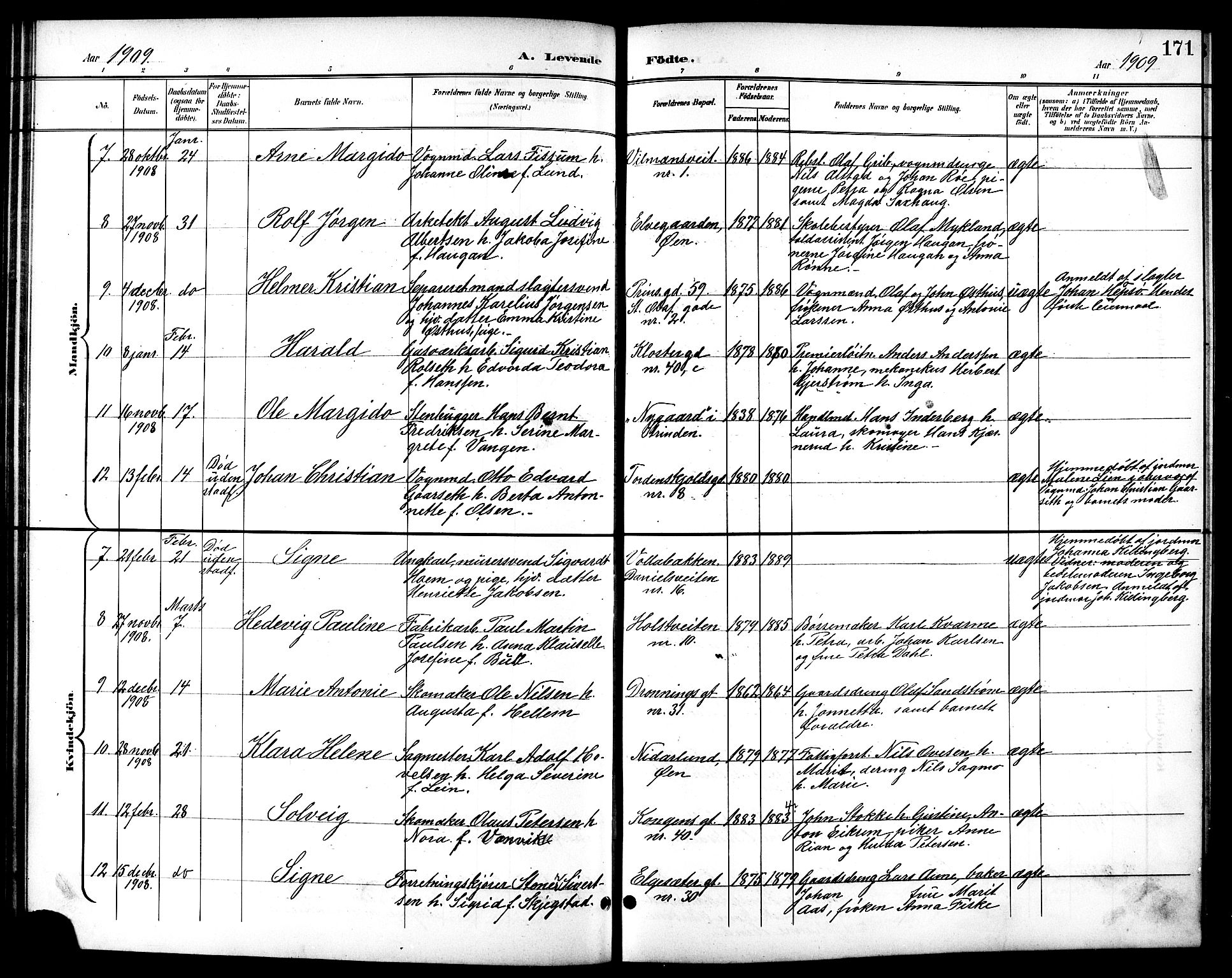 Ministerialprotokoller, klokkerbøker og fødselsregistre - Sør-Trøndelag, SAT/A-1456/601/L0094: Klokkerbok nr. 601C12, 1898-1911, s. 171