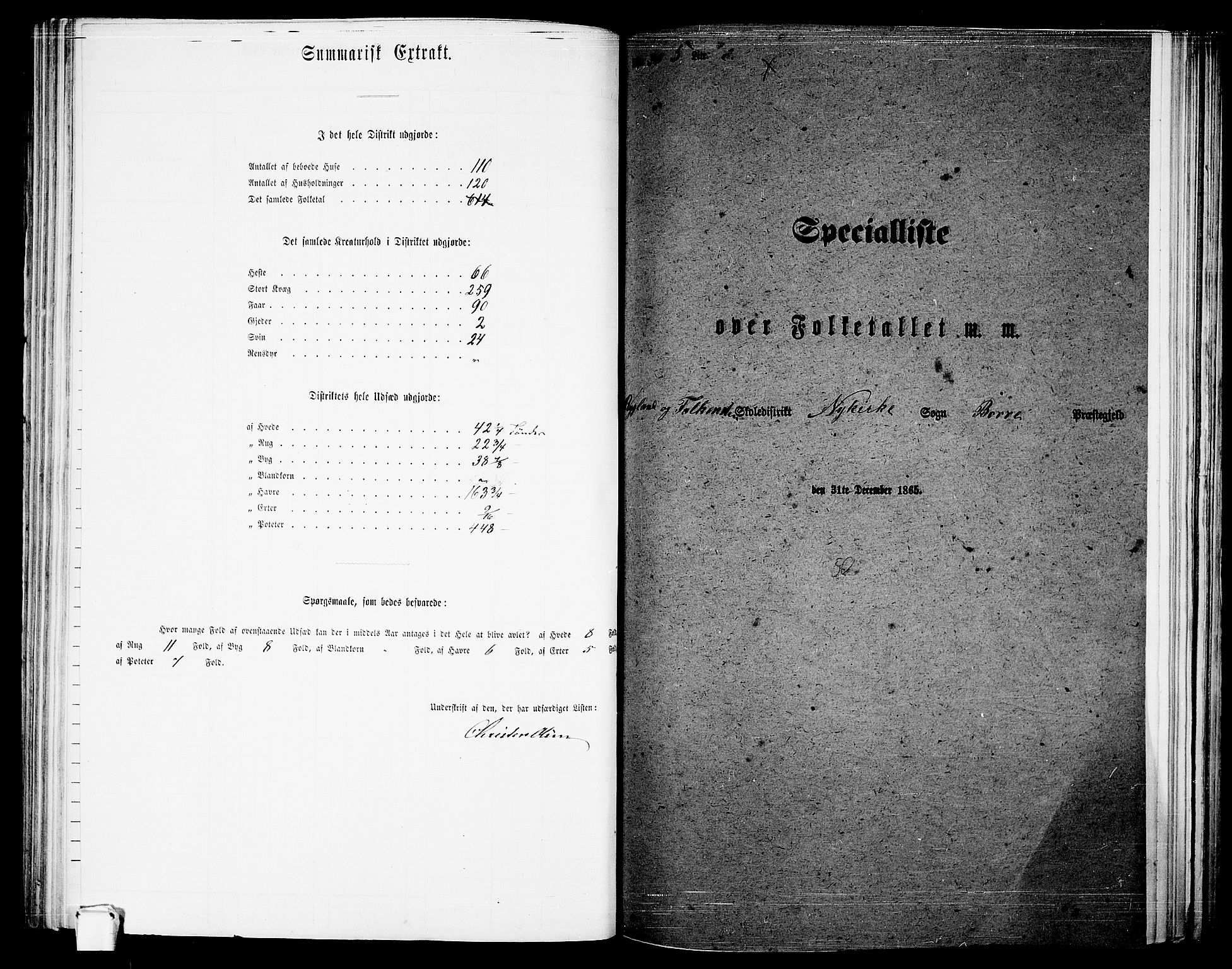 RA, Folketelling 1865 for 0717P Borre prestegjeld, Borre sokn og Nykirke sokn, 1865, s. 125